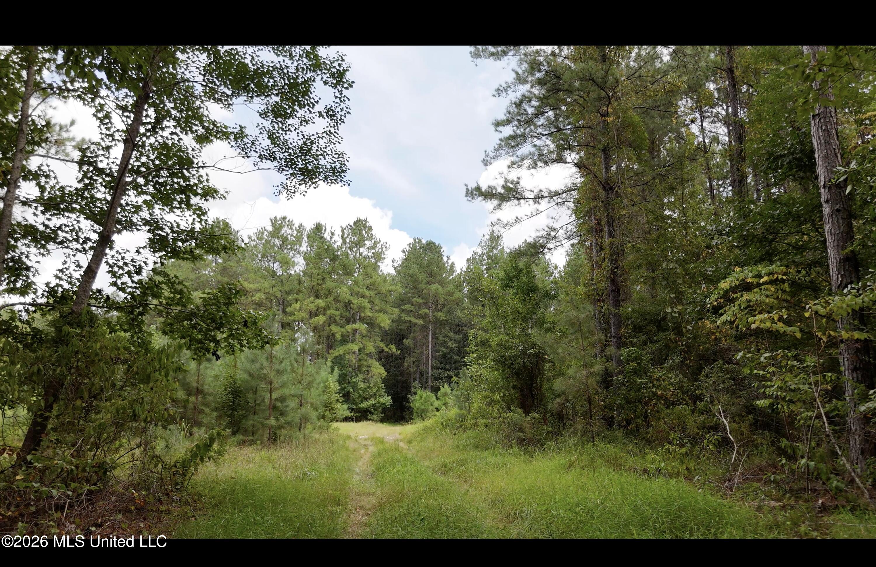 Frank Murphy Road Property Photo 19