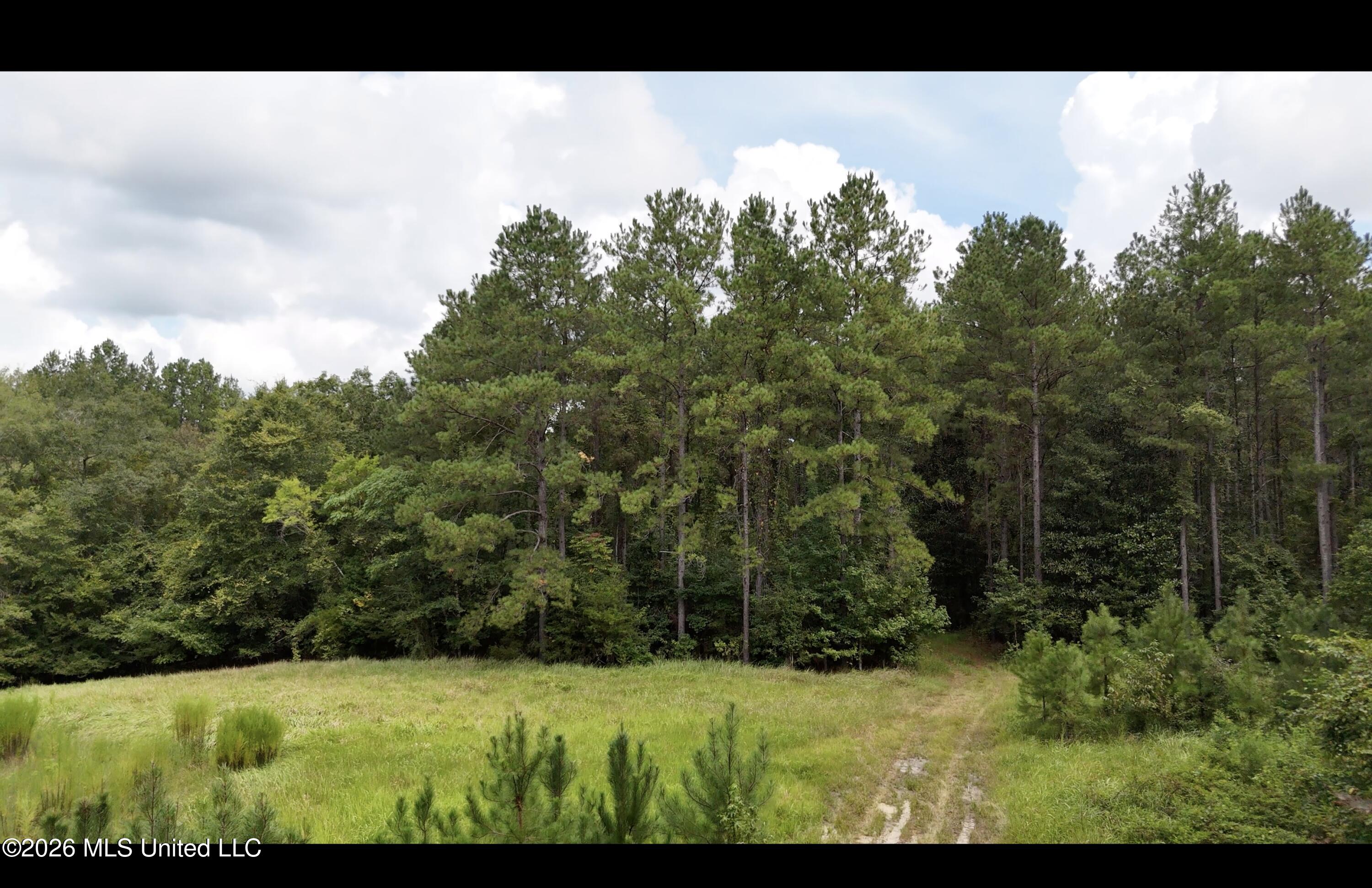 Frank Murphy Road Property Photo 20