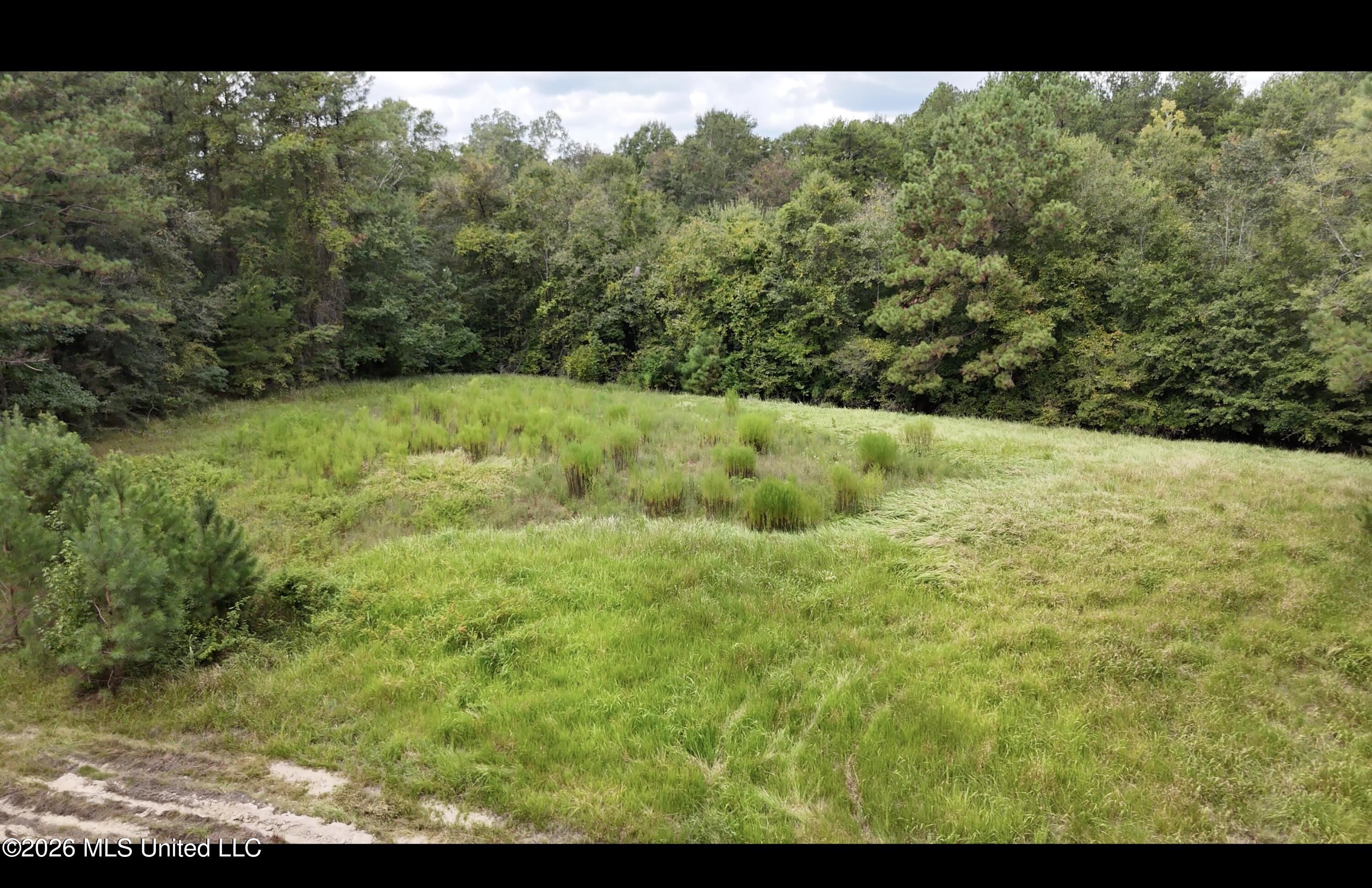 Frank Murphy Road Property Photo 21
