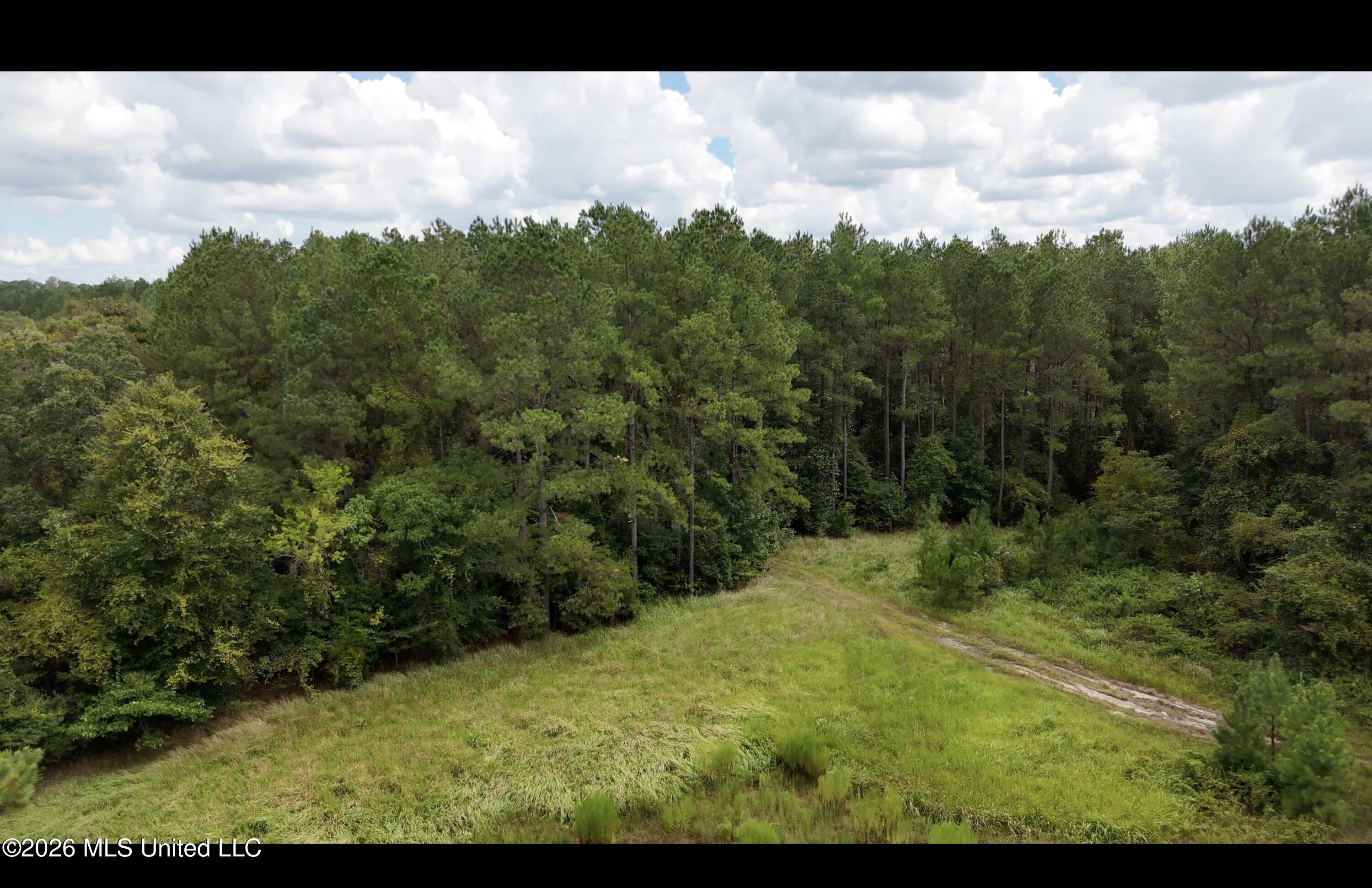 Frank Murphy Road Property Photo 22