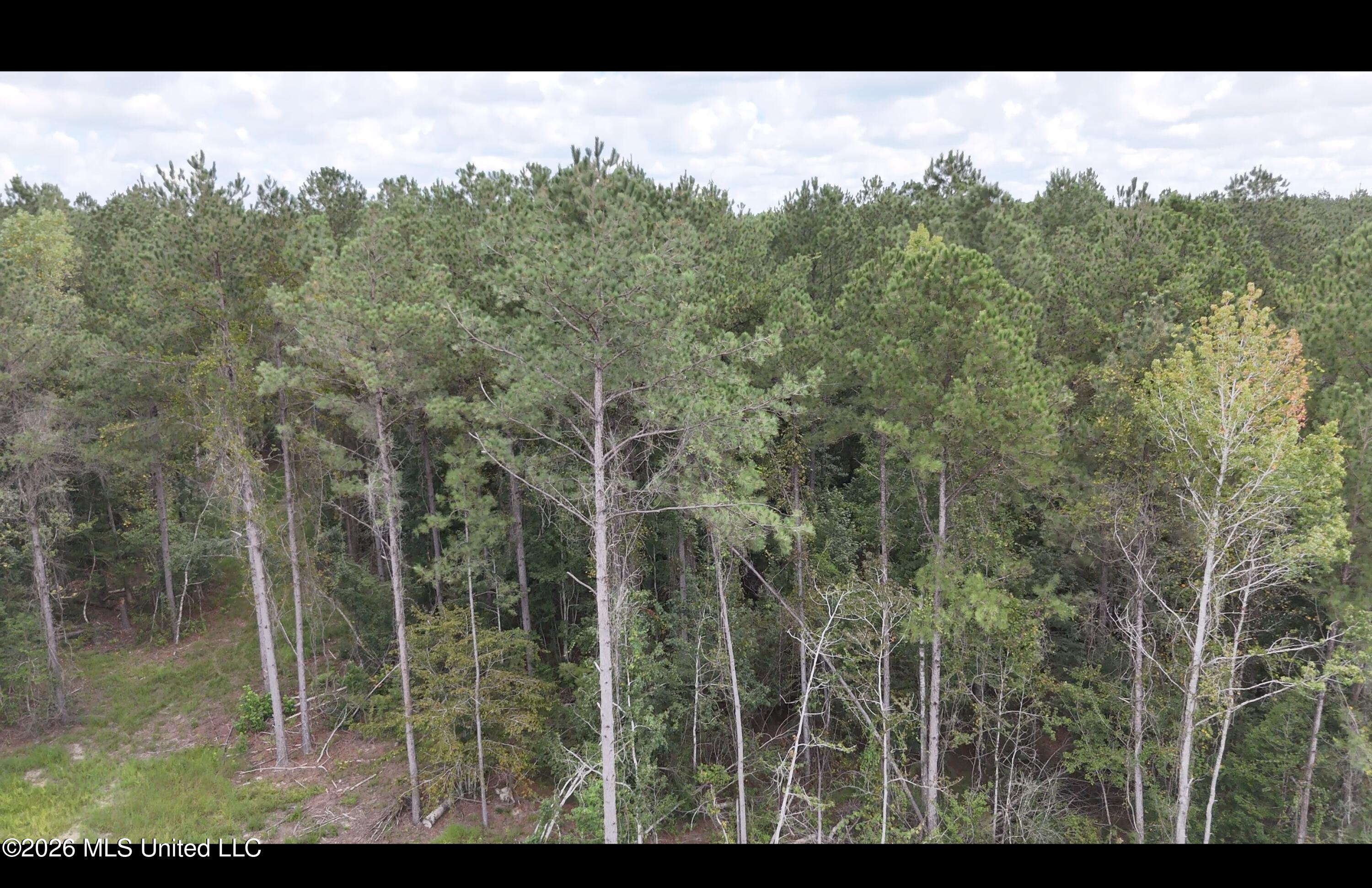 Frank Murphy Road Property Photo 24