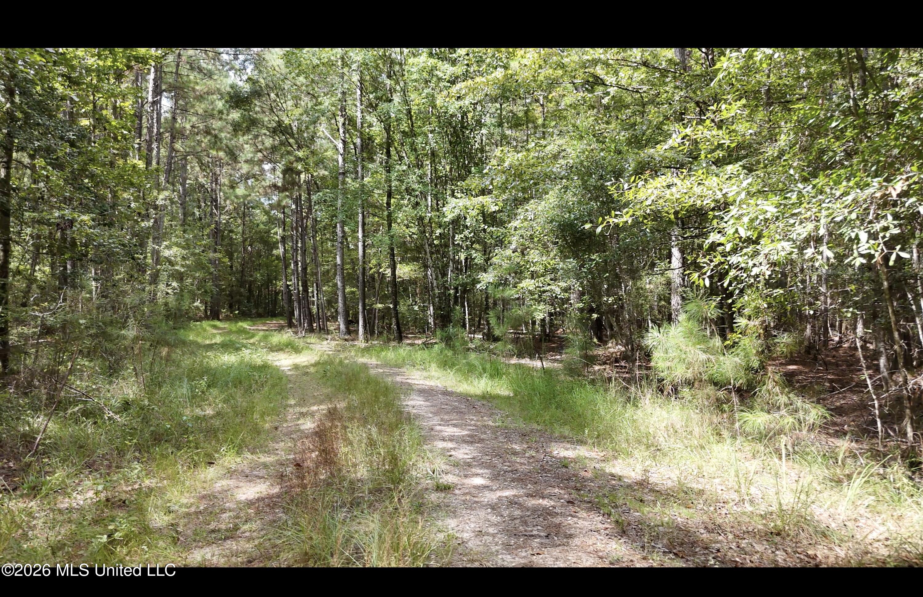 Frank Murphy Road Property Photo 25