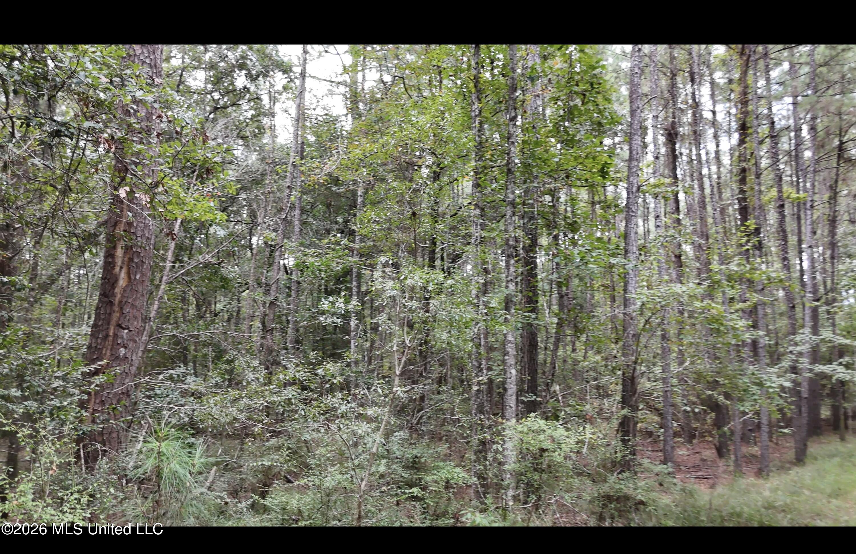 Frank Murphy Road Property Photo 29