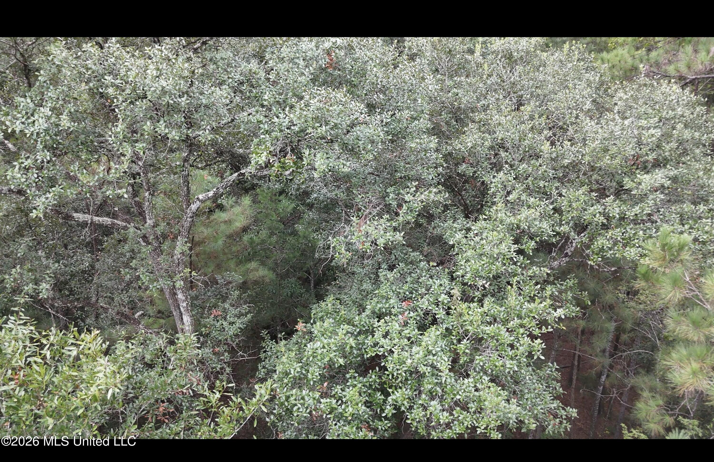Frank Murphy Road Property Photo 30