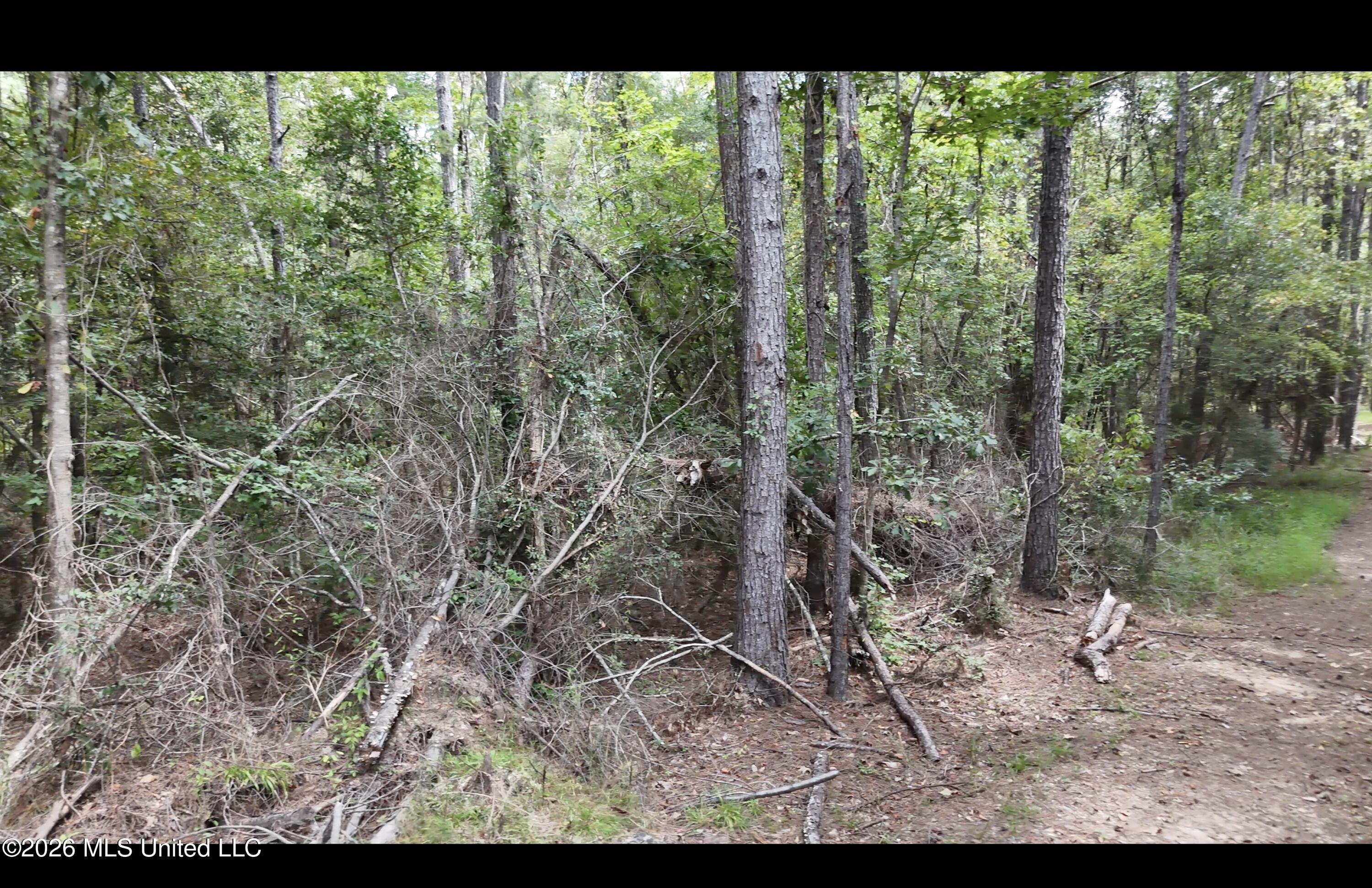 Frank Murphy Road Property Photo 33