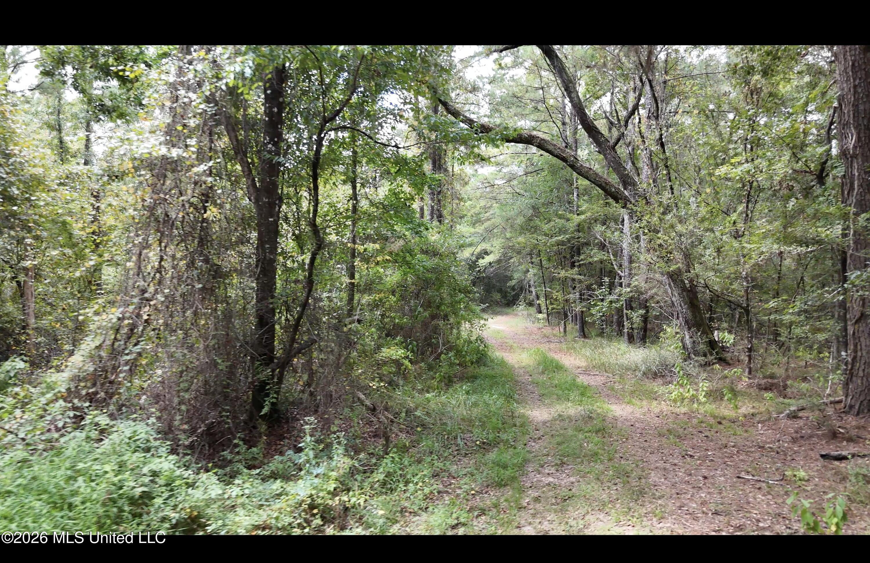 Frank Murphy Road Property Photo 34