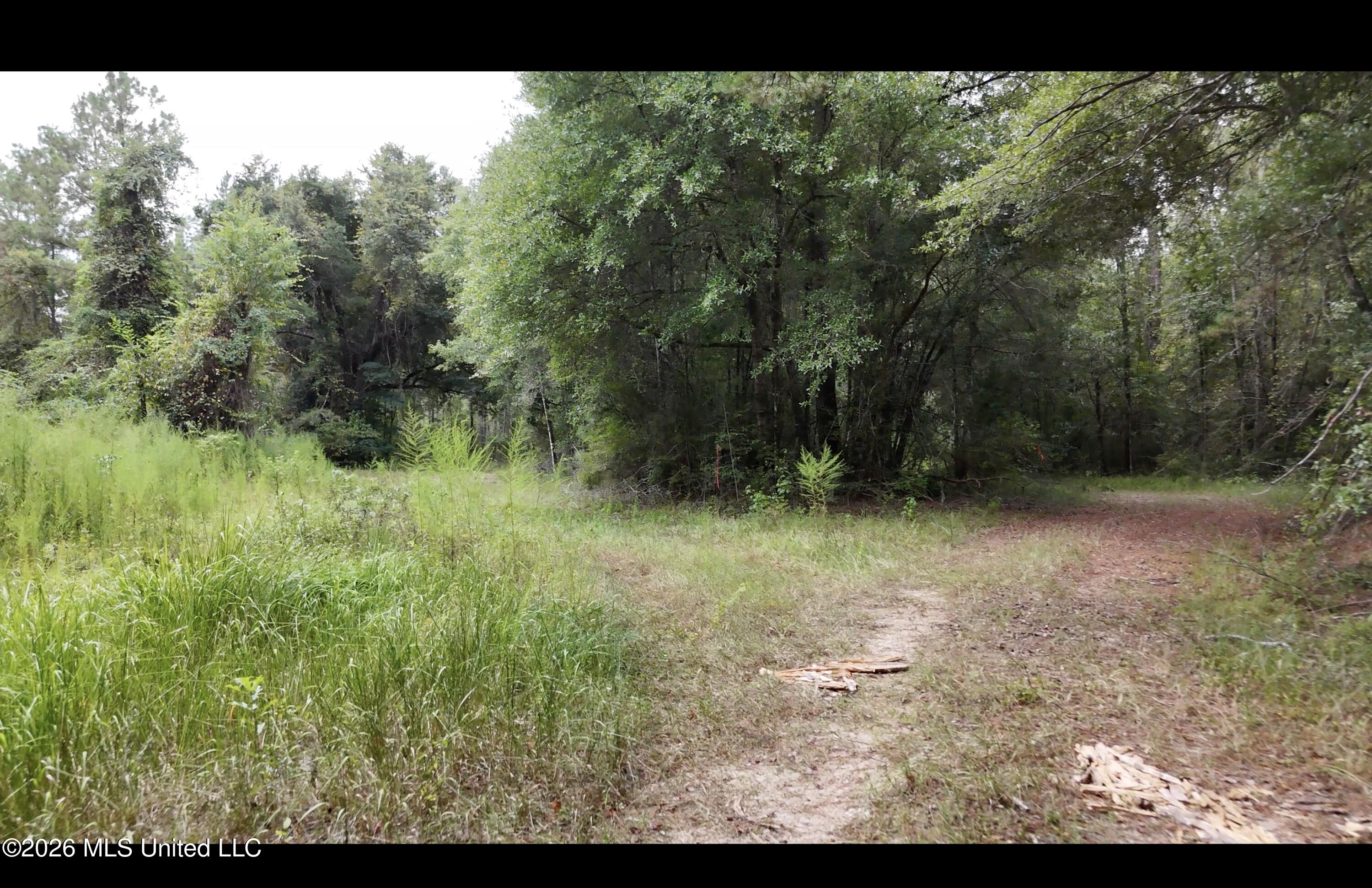 Frank Murphy Road Property Photo 35