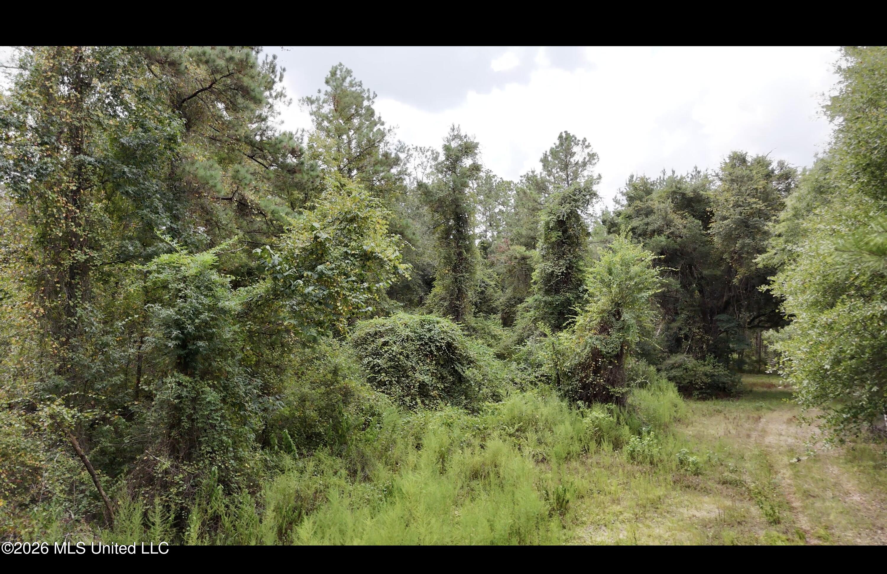 Frank Murphy Road Property Photo 36
