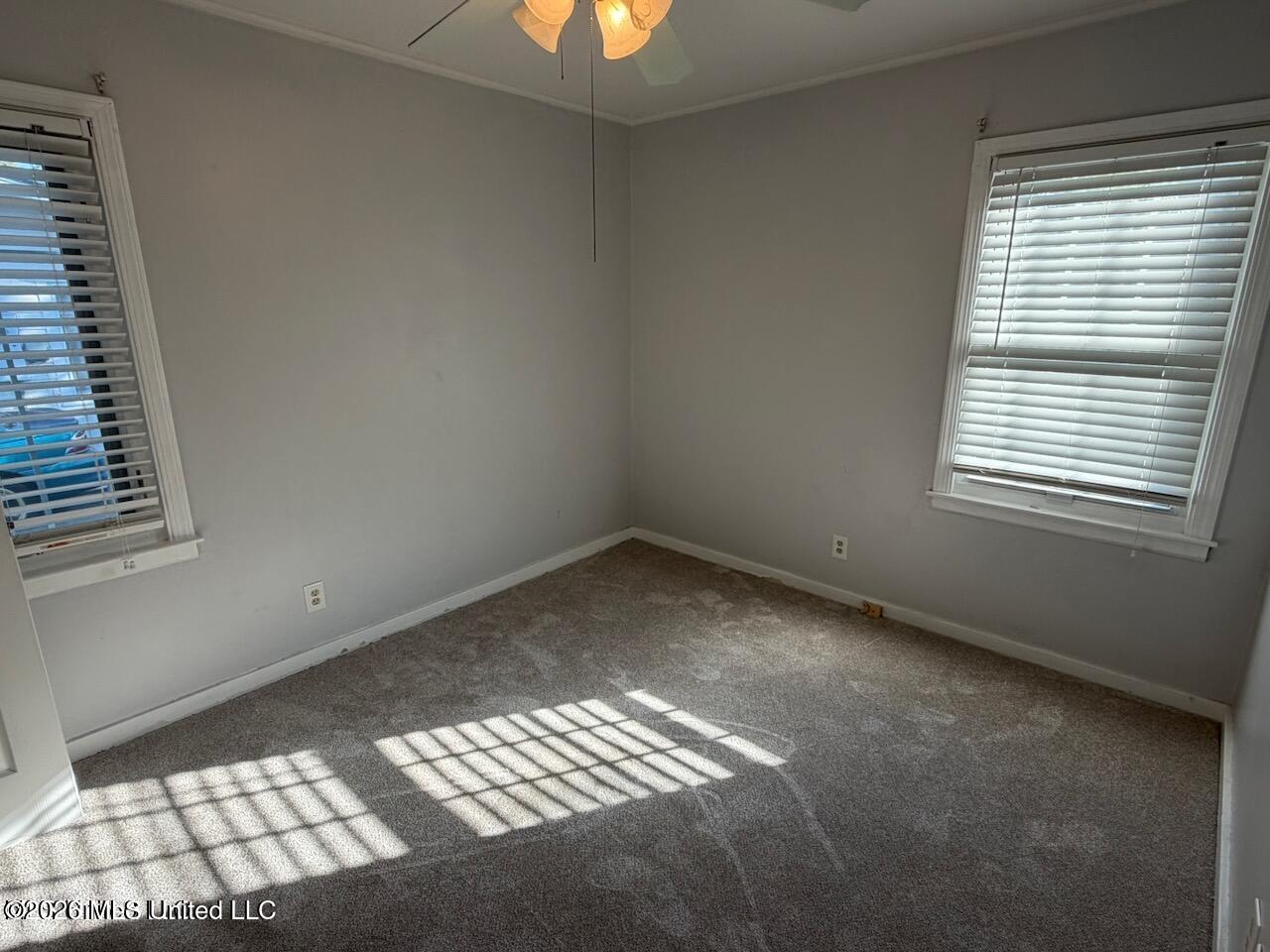4000 Chamberlain Avenue Property Photo 6