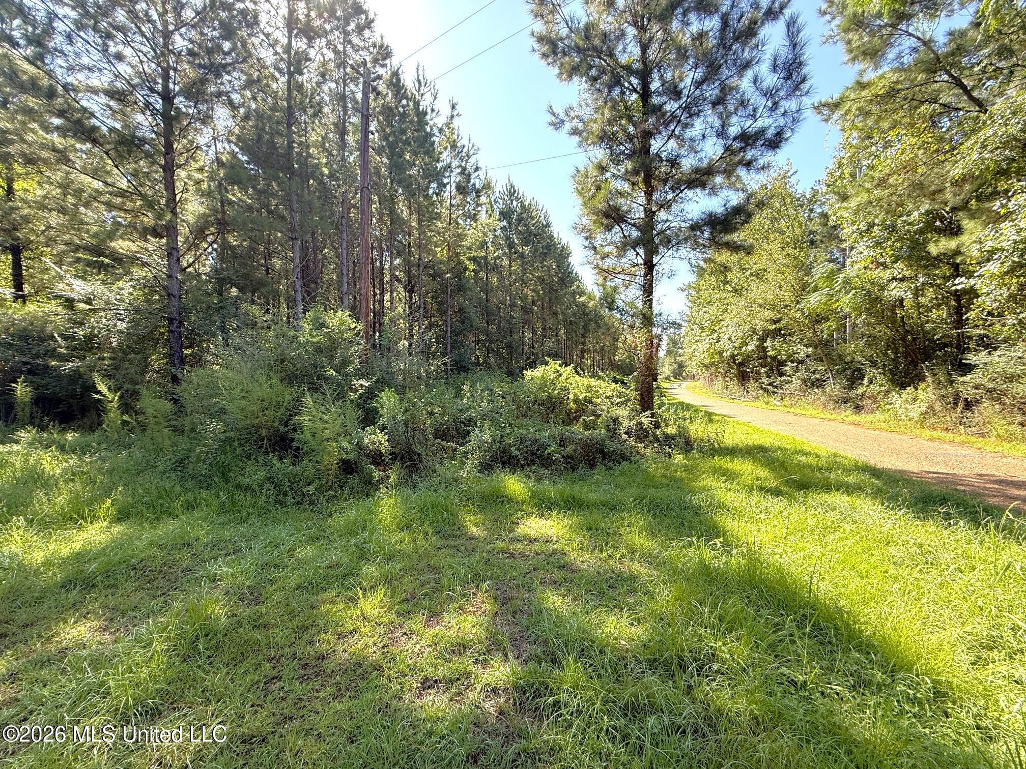 Bethel Road Property Photo 1