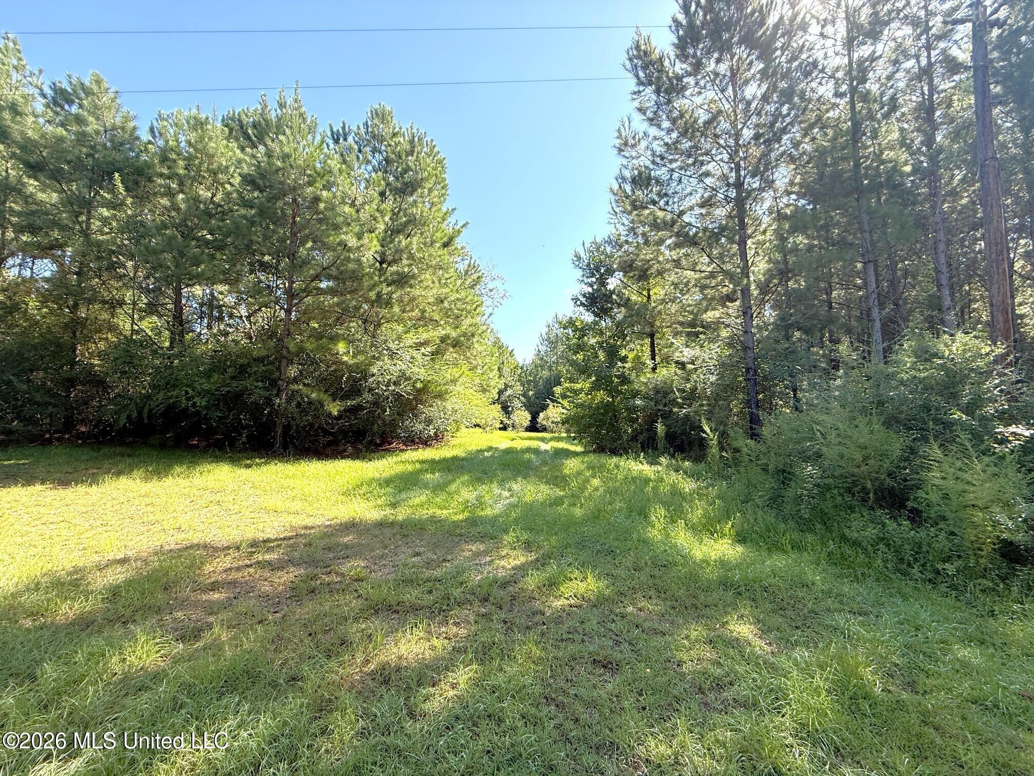 Bethel Road Property Photo 2