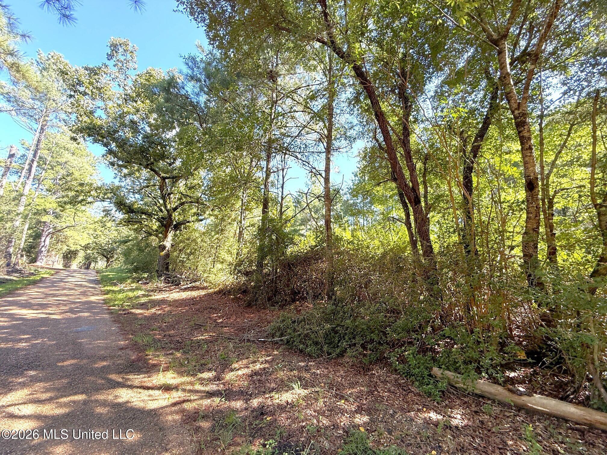 Bethel Road Property Photo 3