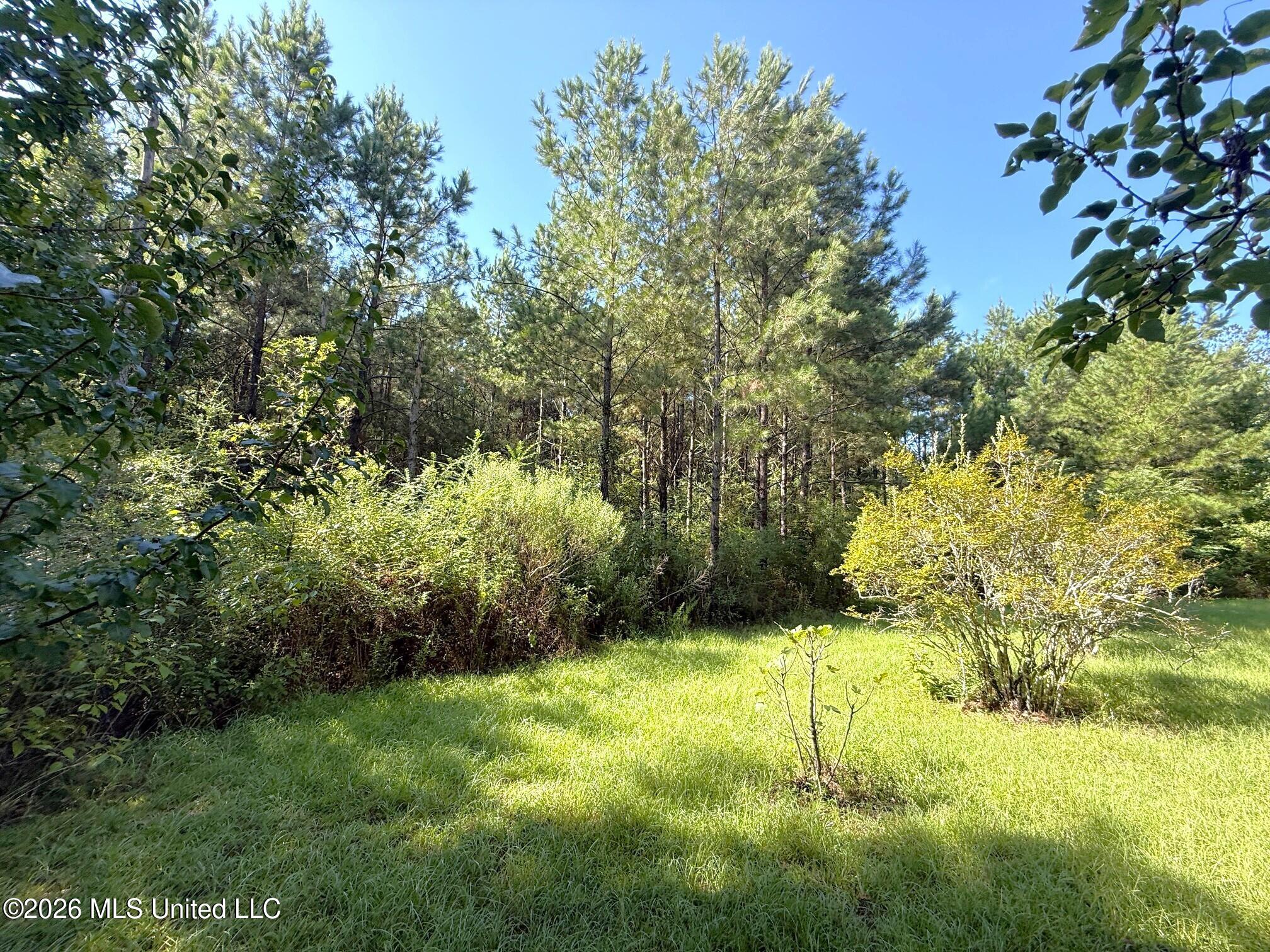 Bethel Road Property Photo 5