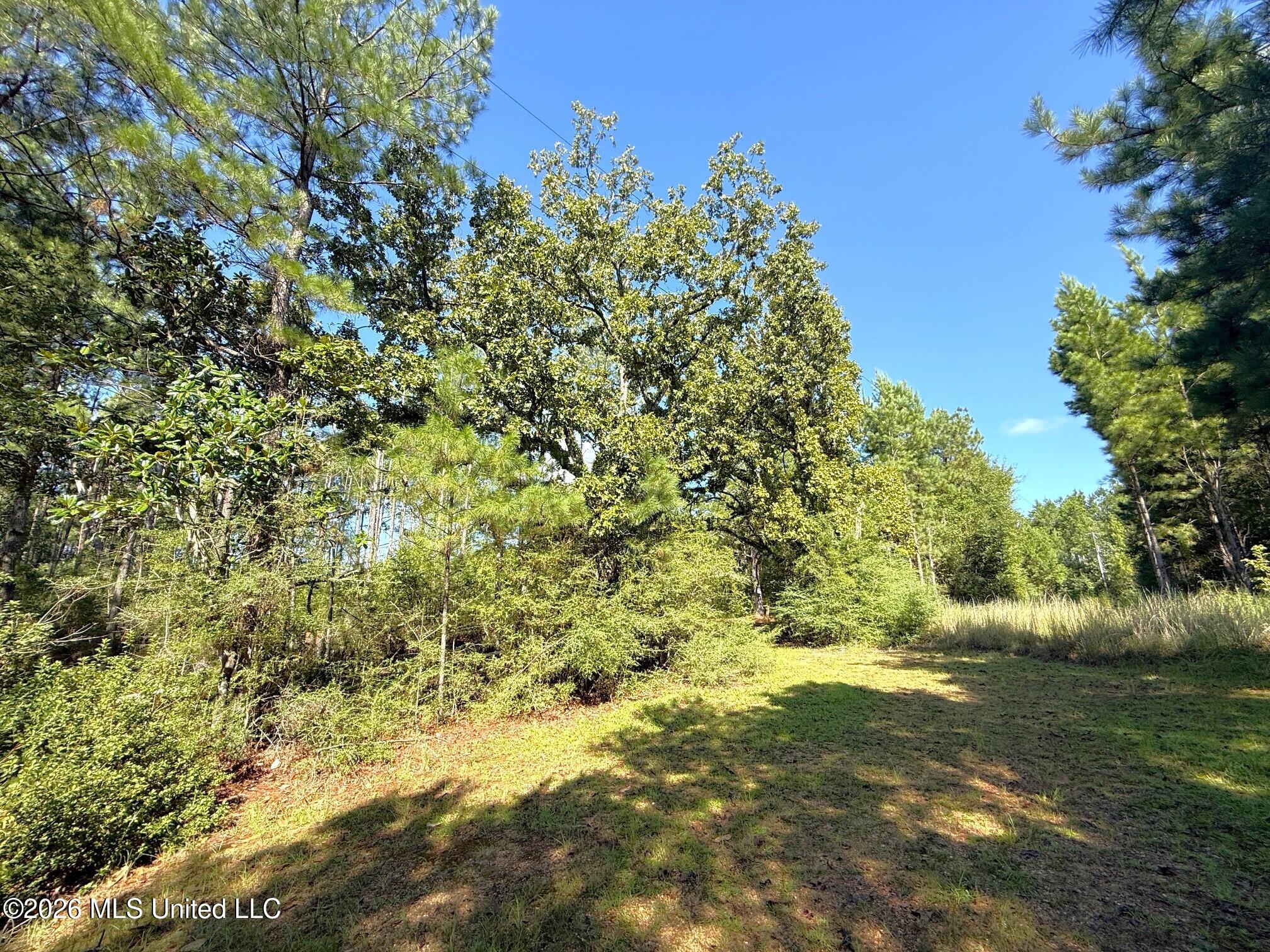Bethel Road Property Photo 6