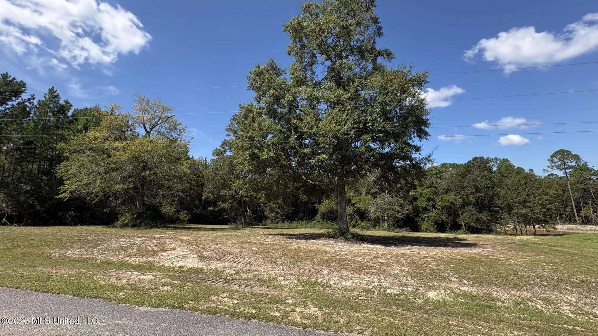 Pebble Brook Crossing Property Photo 5