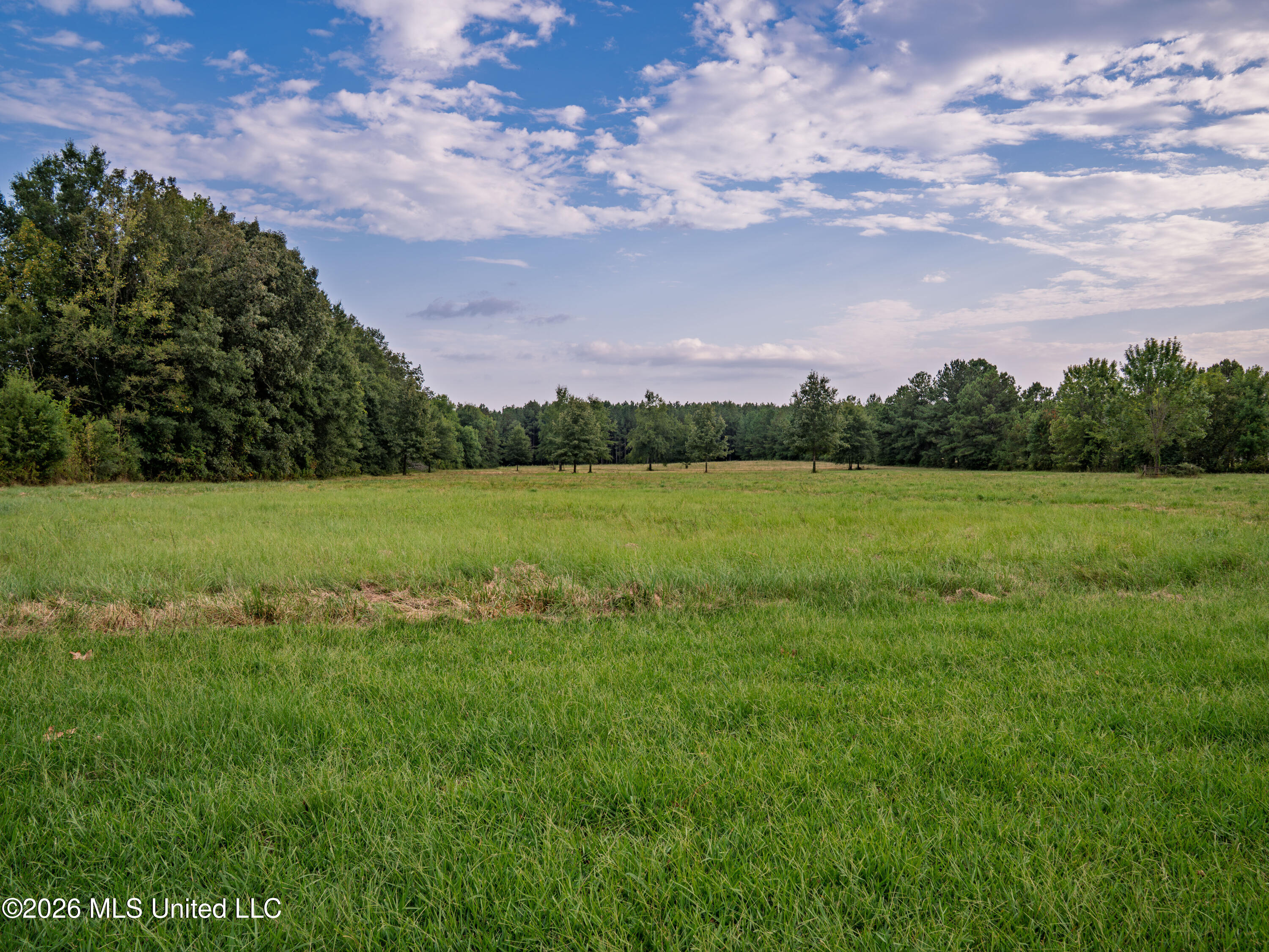 483 D Williams Road Property Photo 5