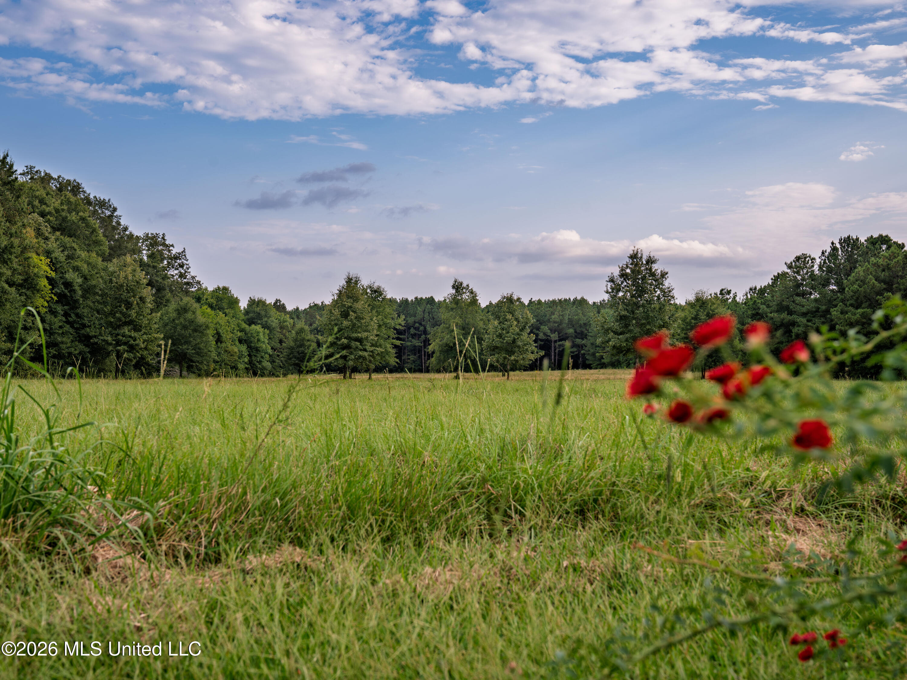 483 D Williams Road Property Photo 6