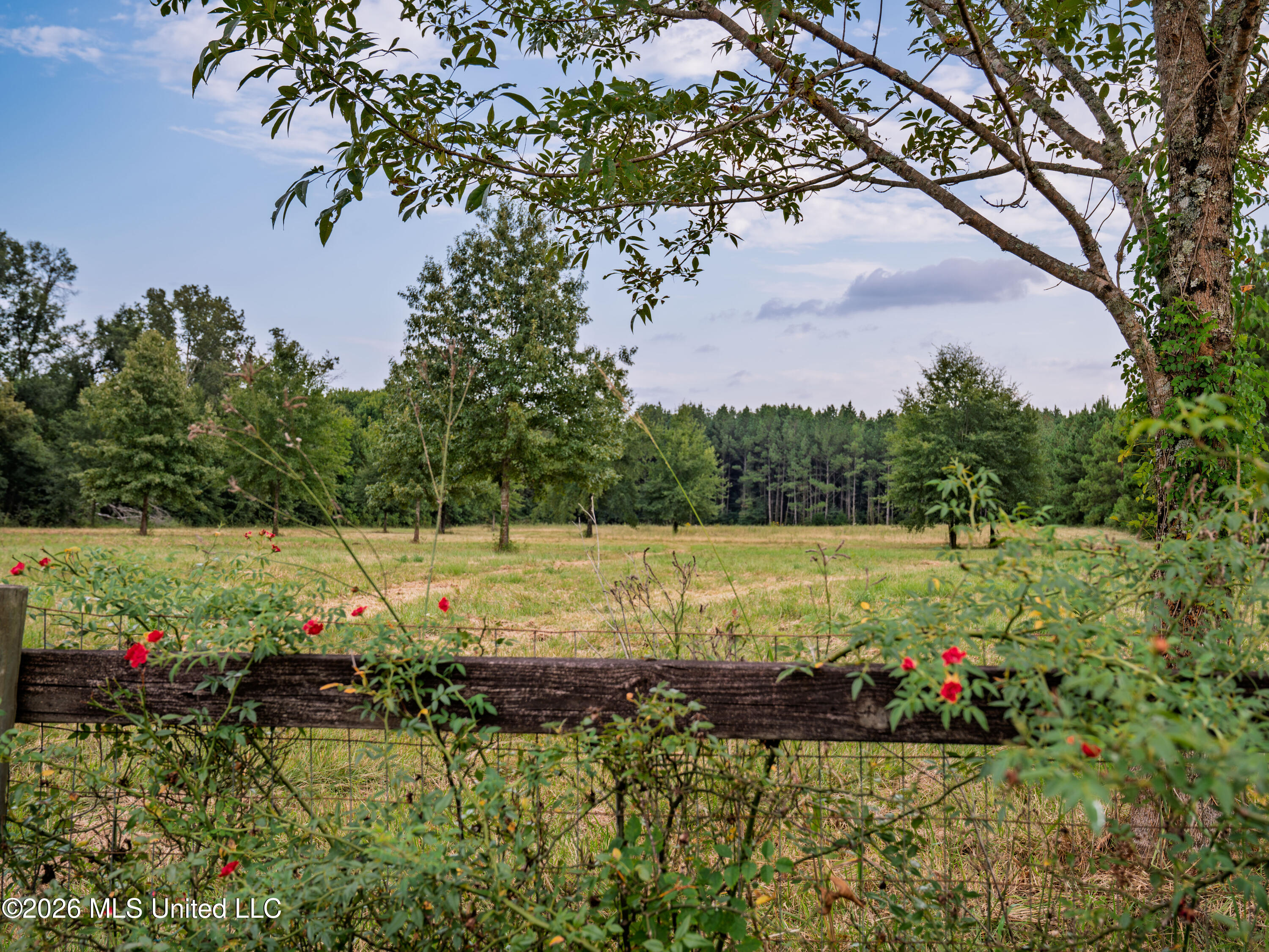 483 D Williams Road Property Photo 11
