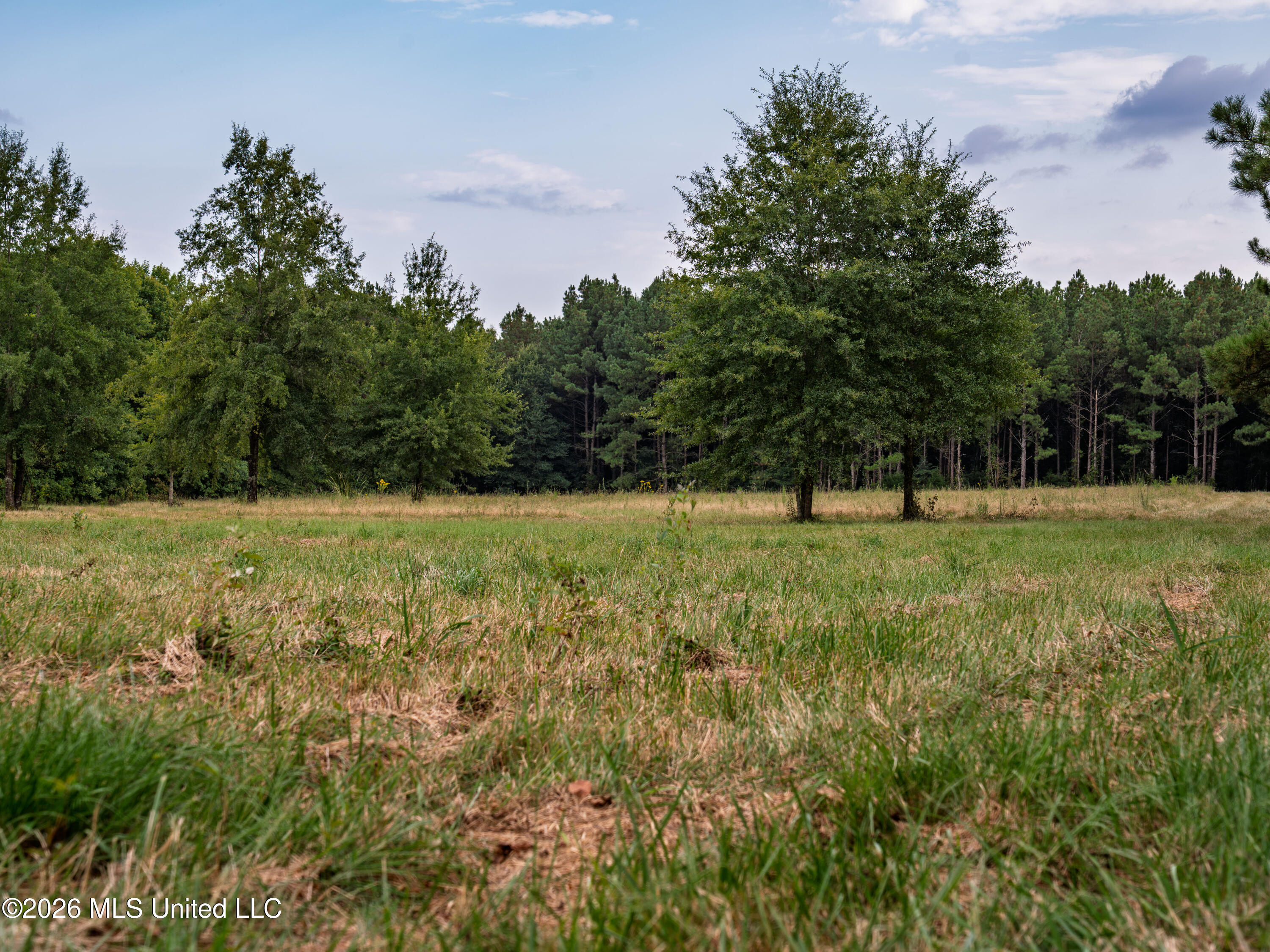 483 D Williams Road Property Photo 12