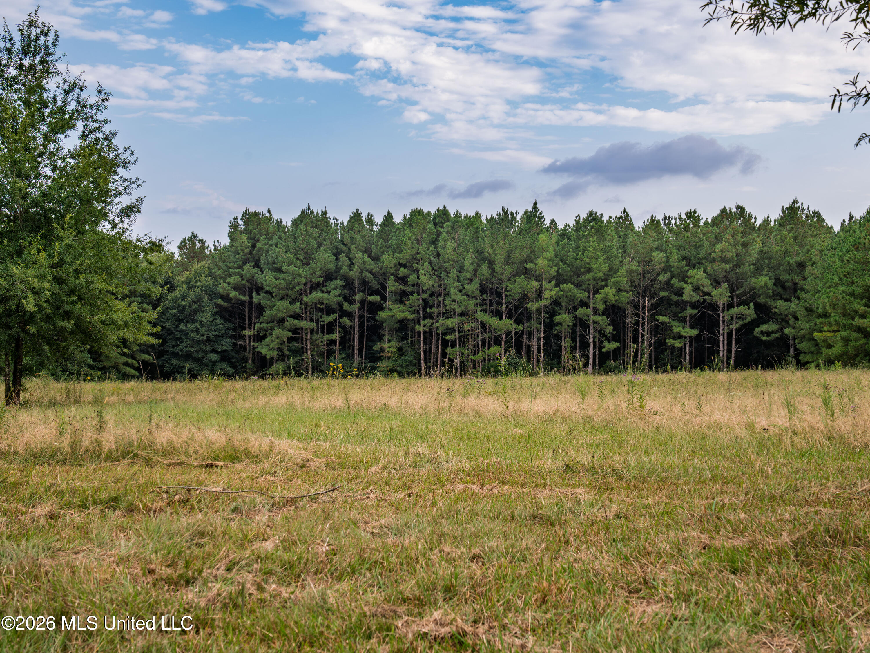 483 D Williams Road Property Photo 13
