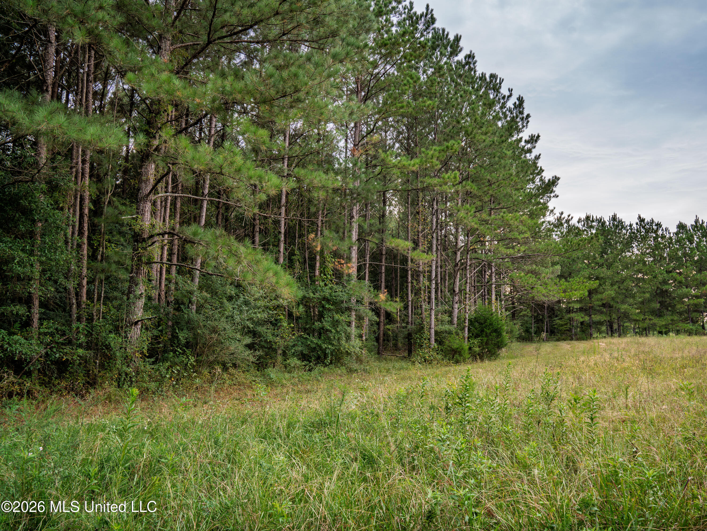483 D Williams Road Property Photo 15