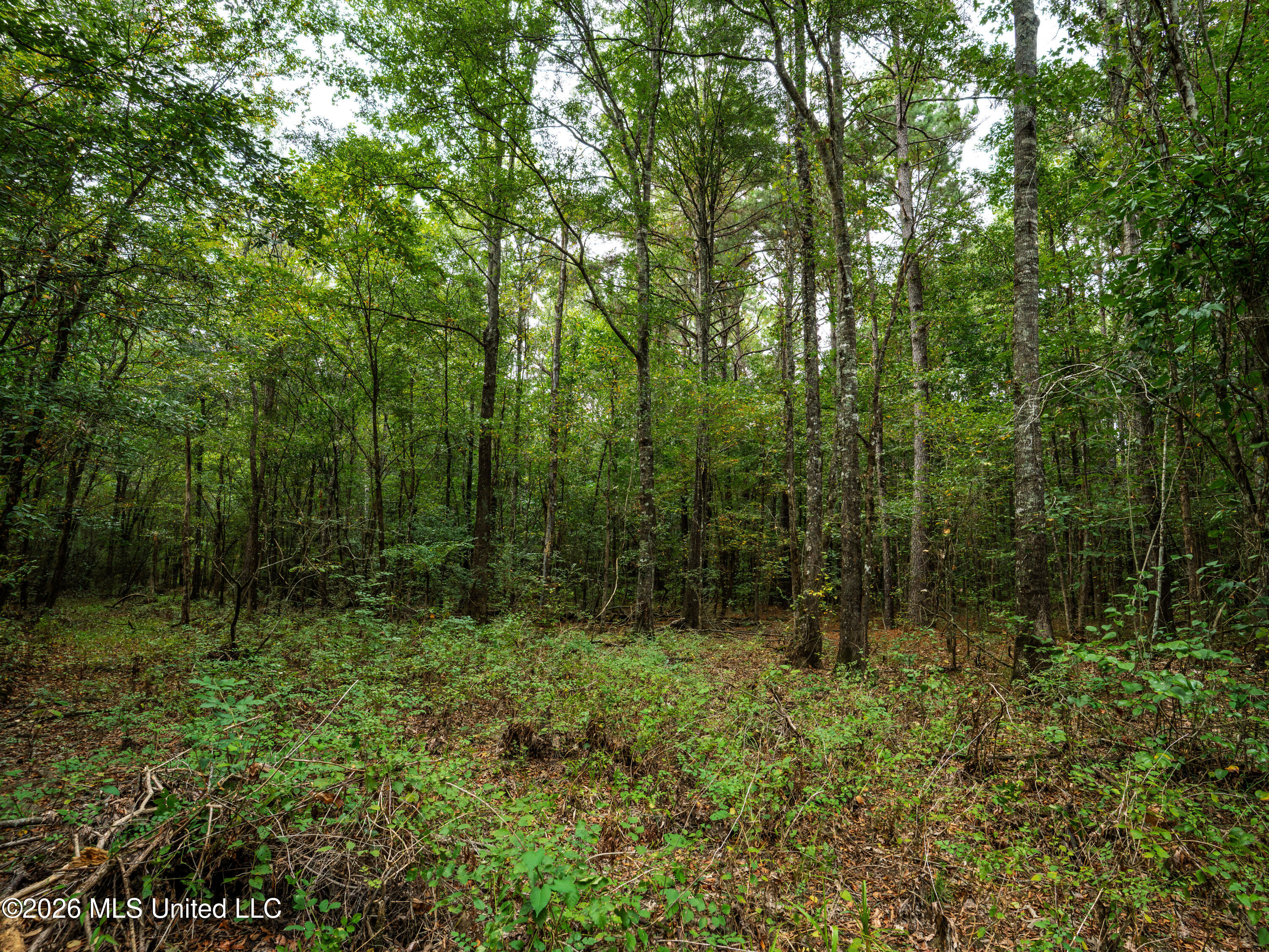 483 D Williams Road Property Photo 17