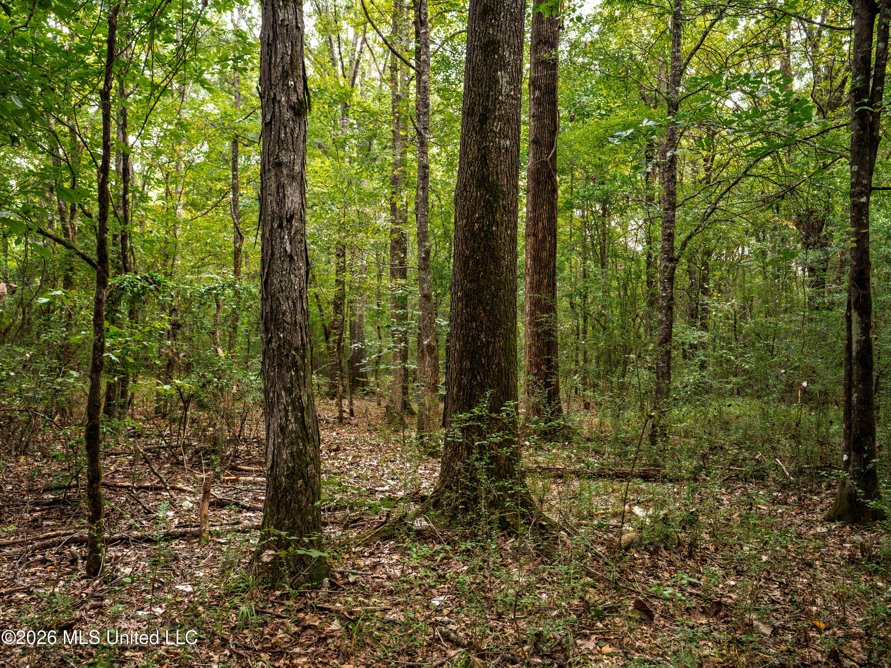 483 D Williams Road Property Photo 19