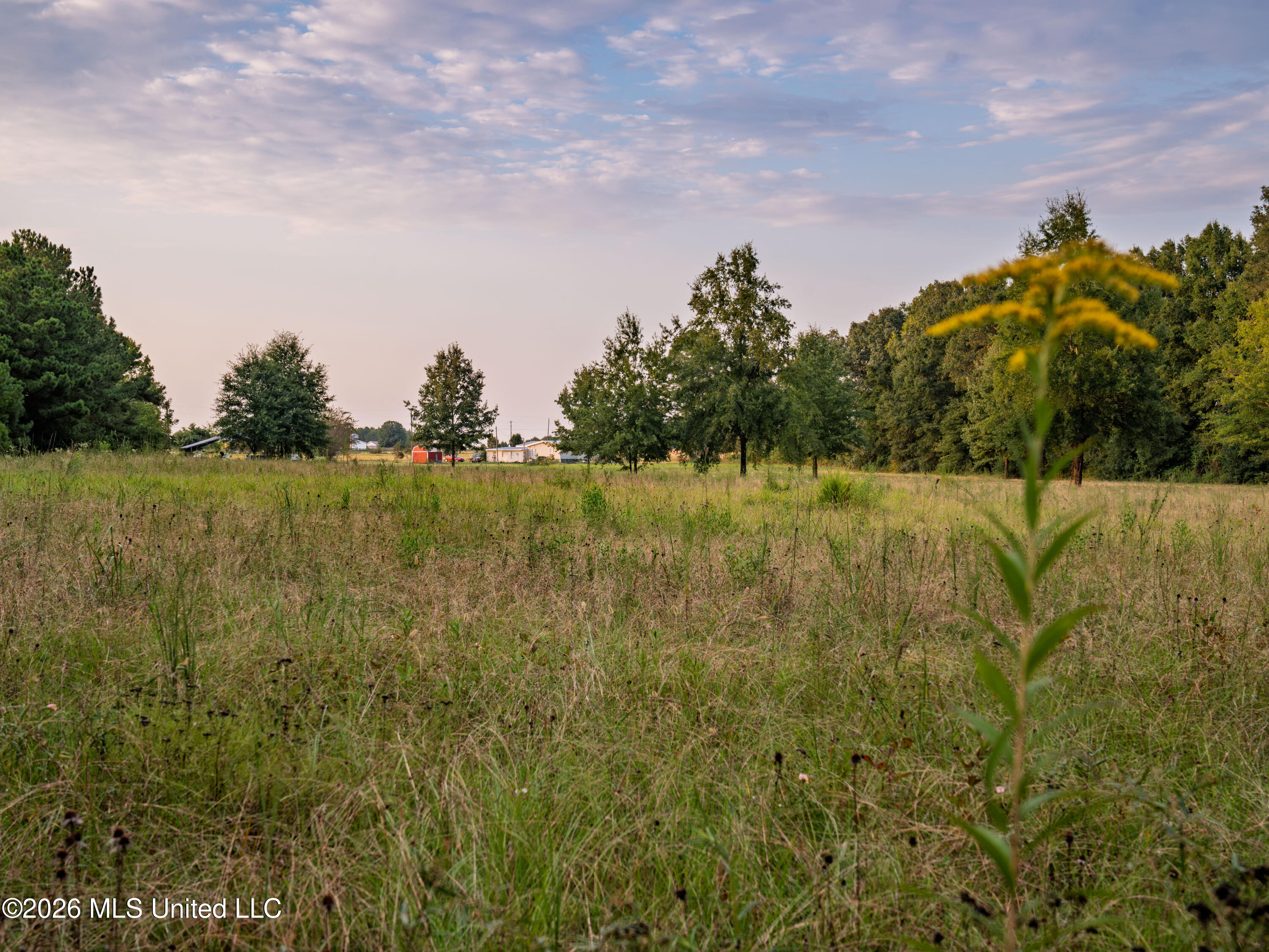 483 D Williams Road Property Photo 21