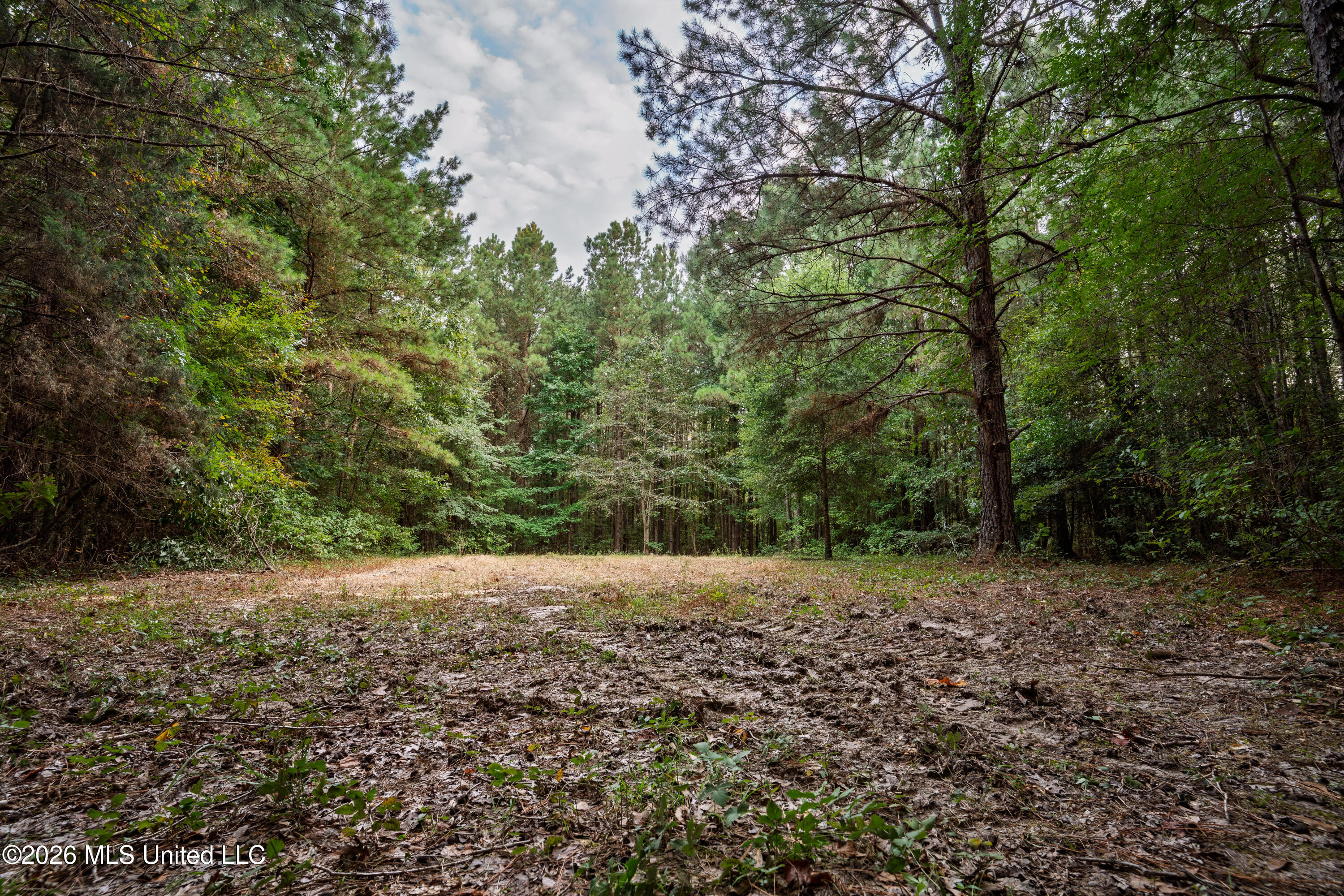 483 D Williams Road Property Photo 22