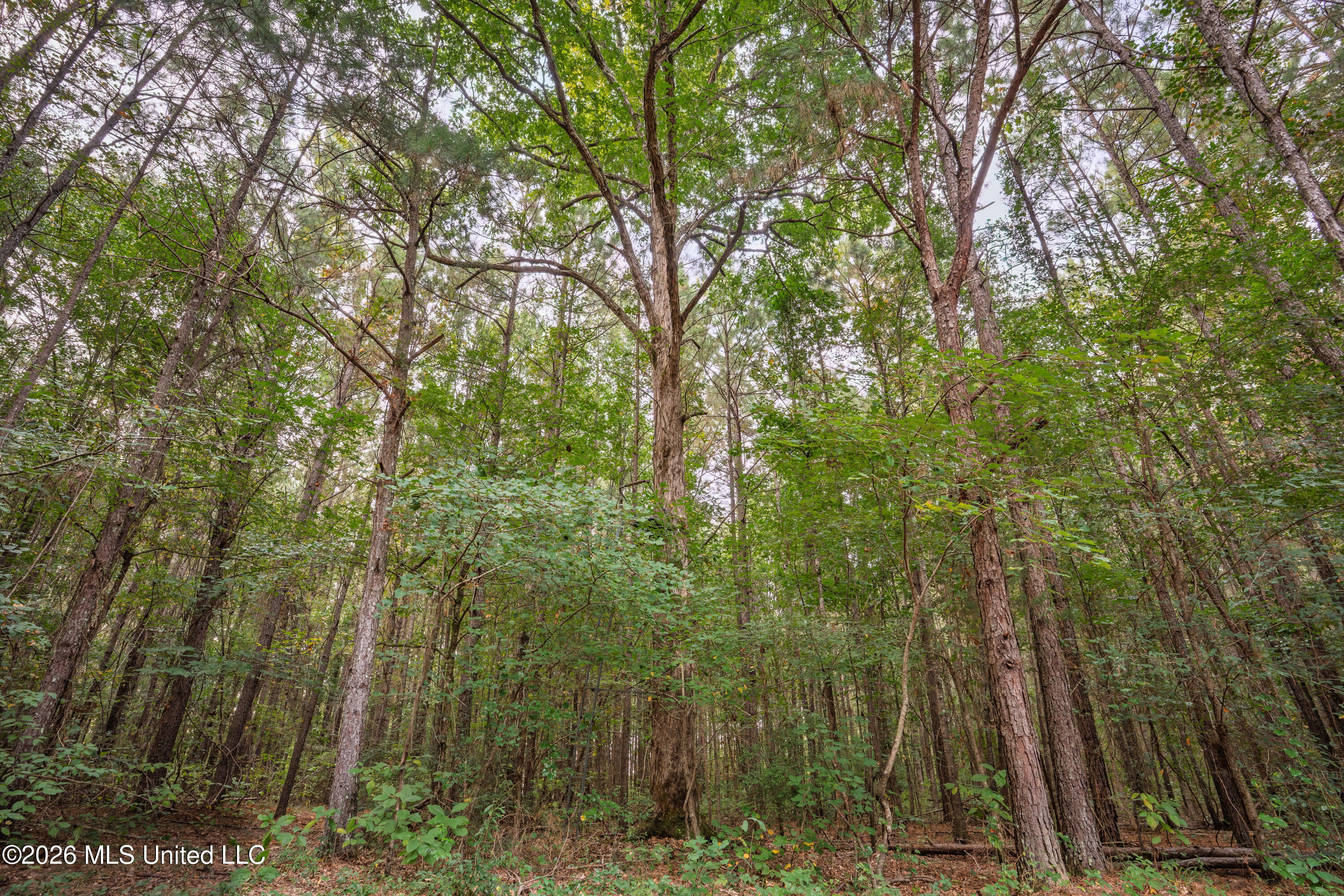 483 D Williams Road Property Photo 23