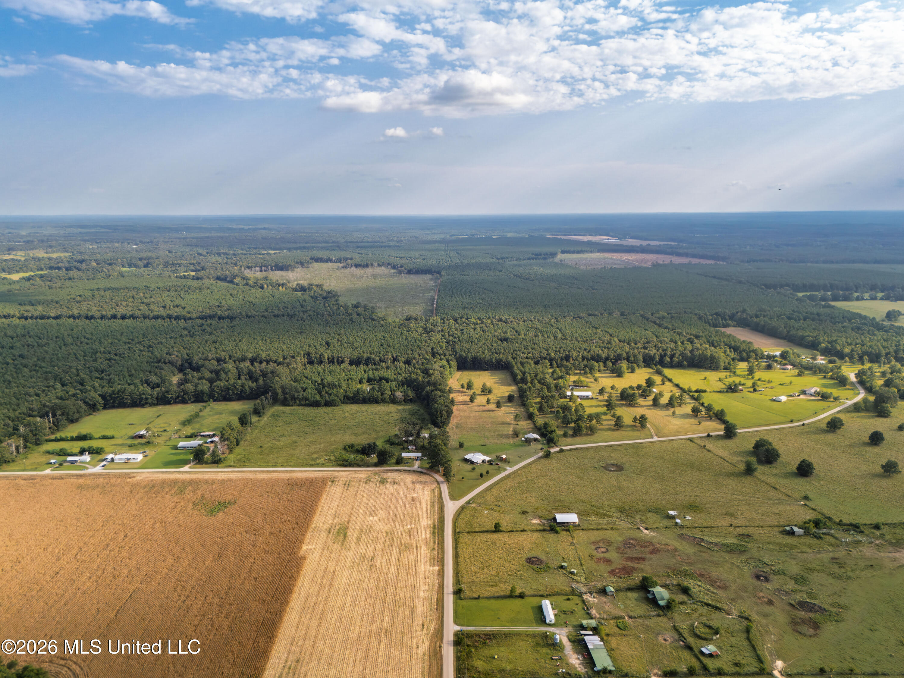 483 D Williams Road Property Photo 26