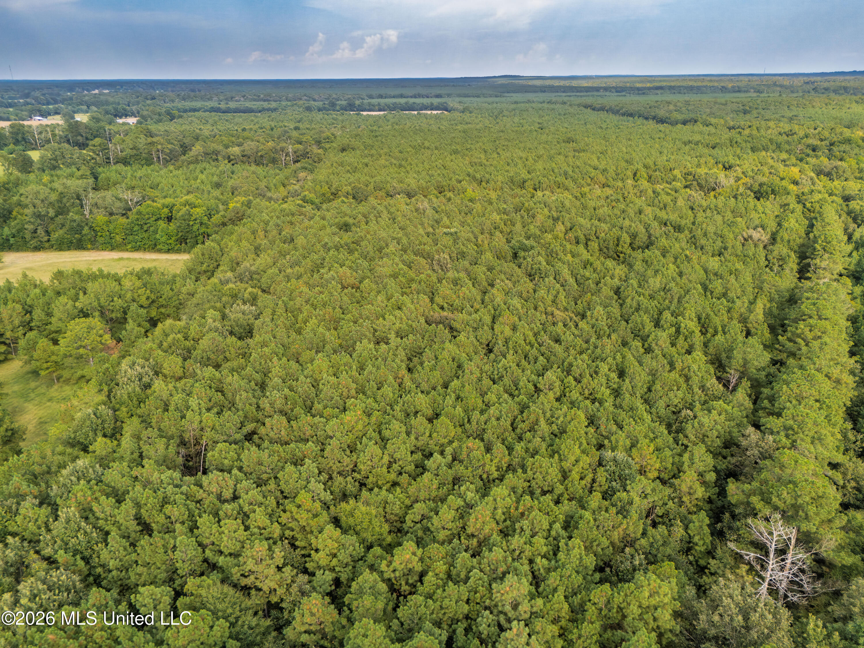 483 D Williams Road Property Photo 34