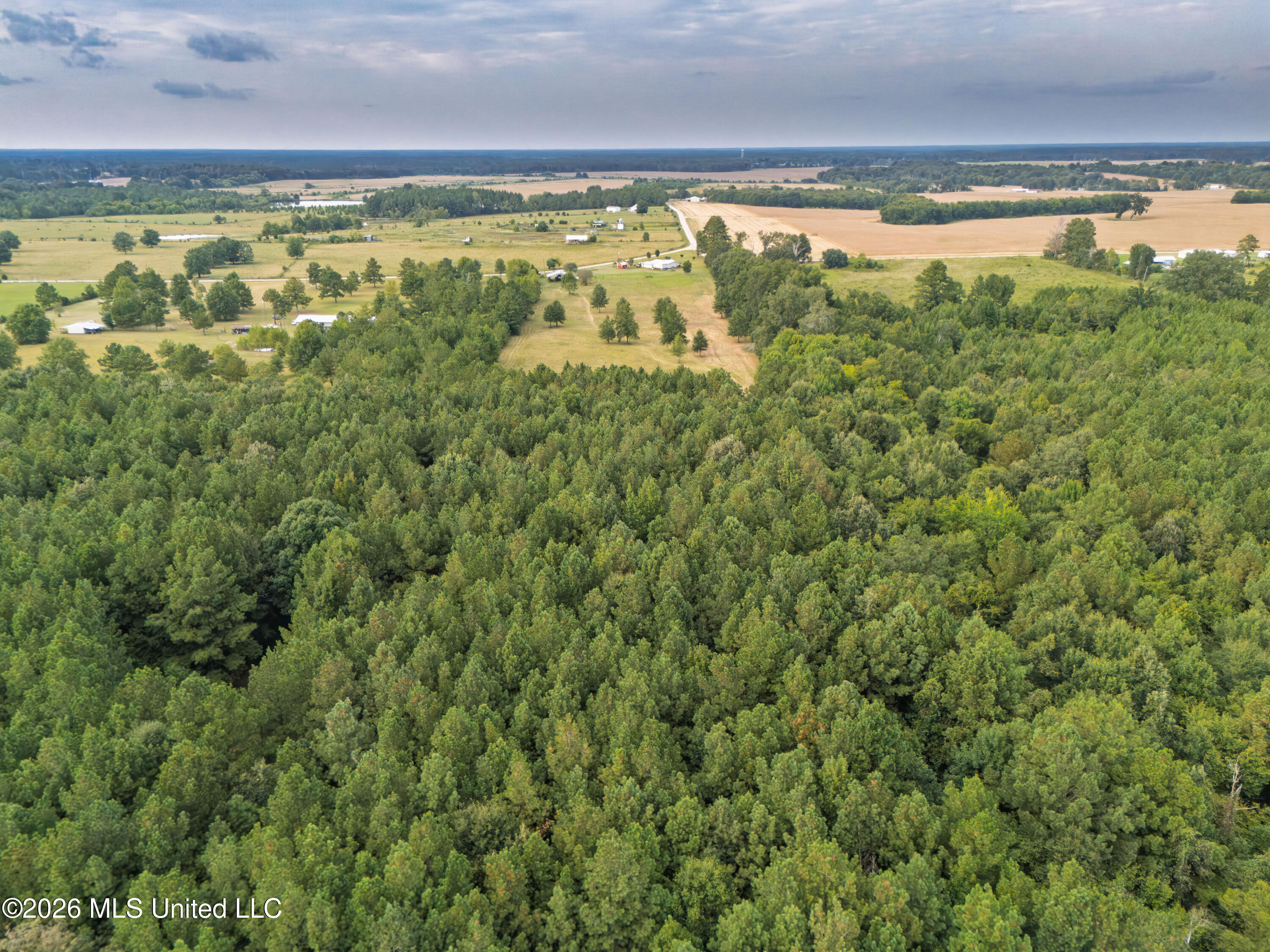 483 D Williams Road Property Photo 36