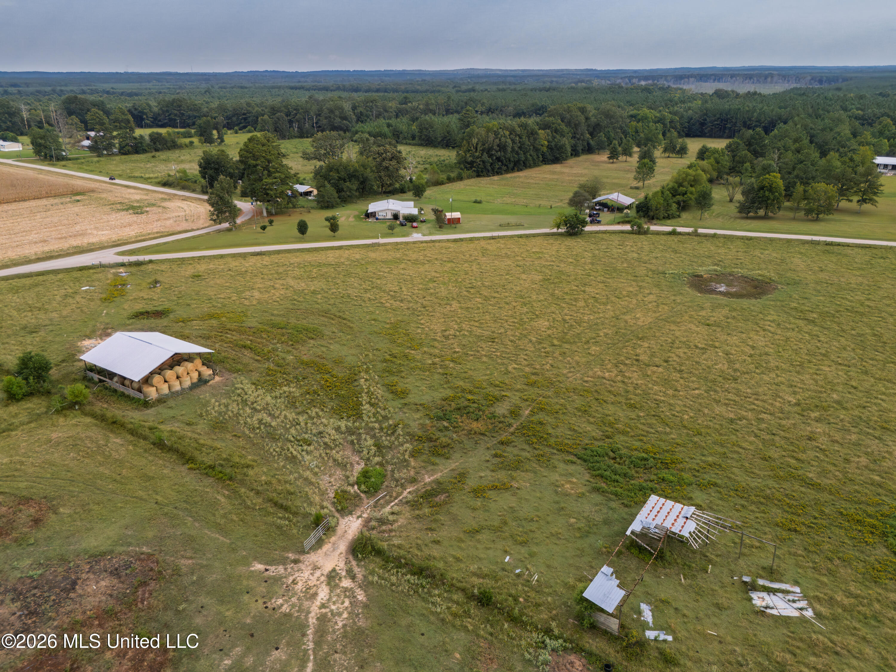 483 D Williams Road Property Photo 39