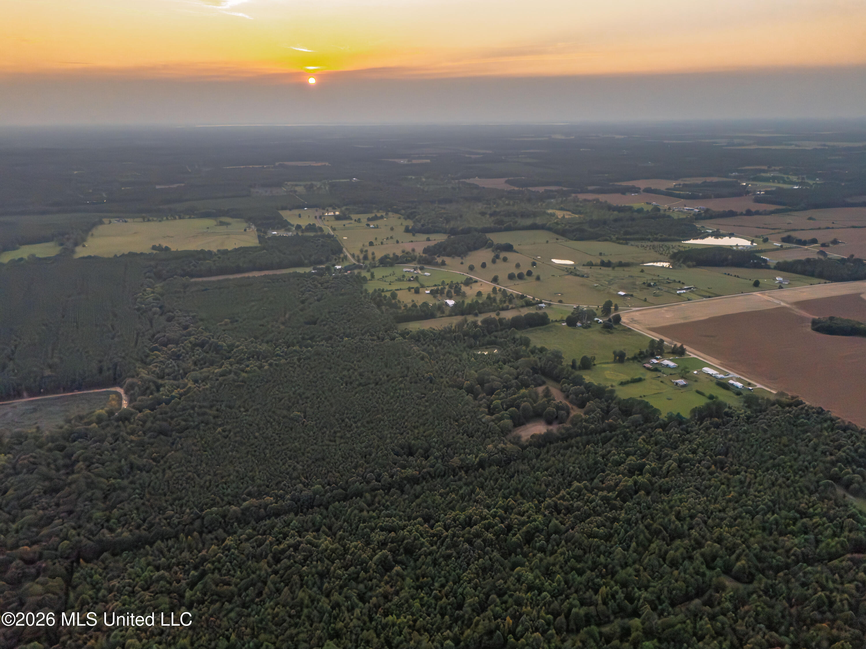 483 D Williams Road Property Photo 41
