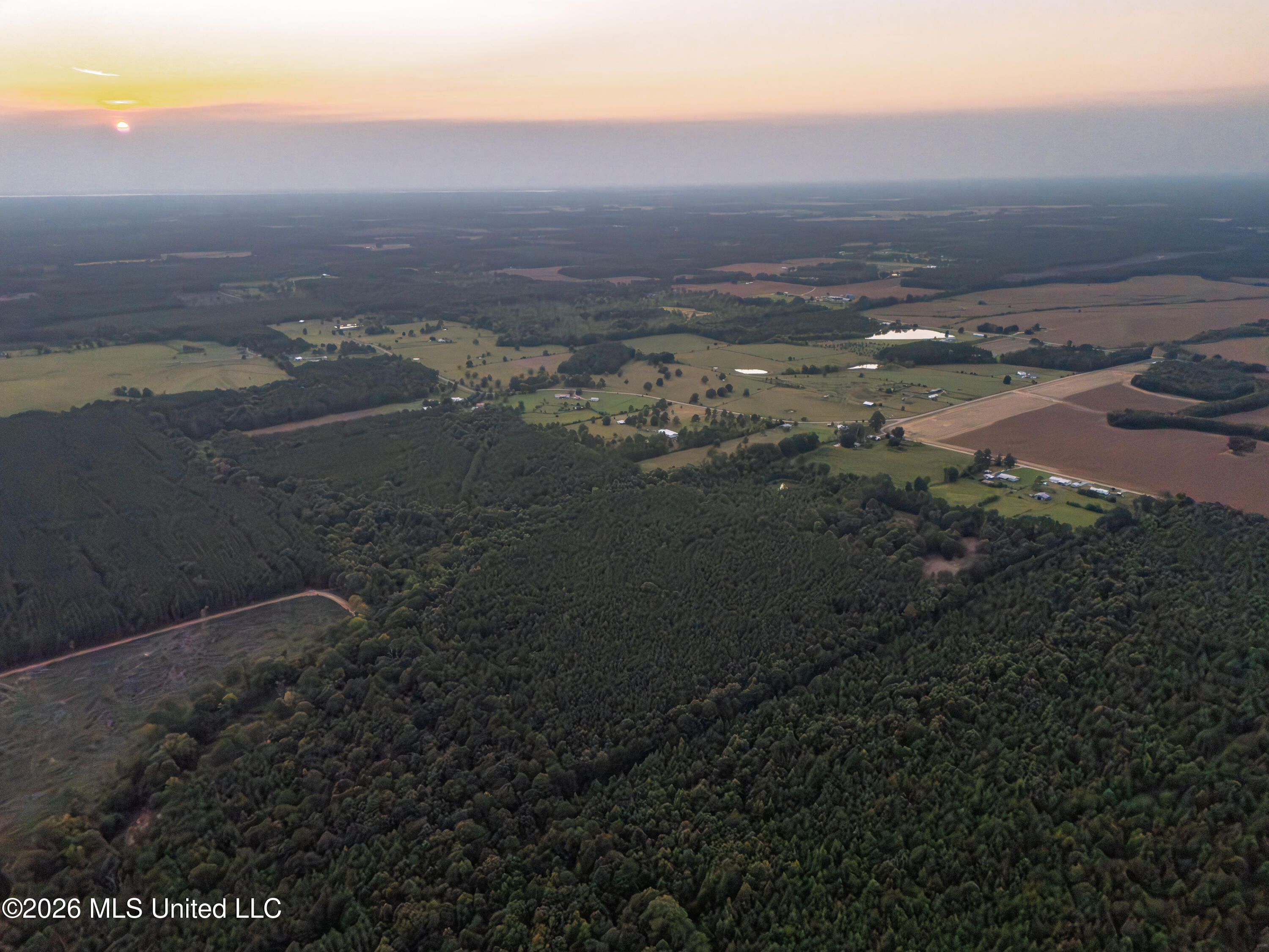 483 D Williams Road Property Photo 42