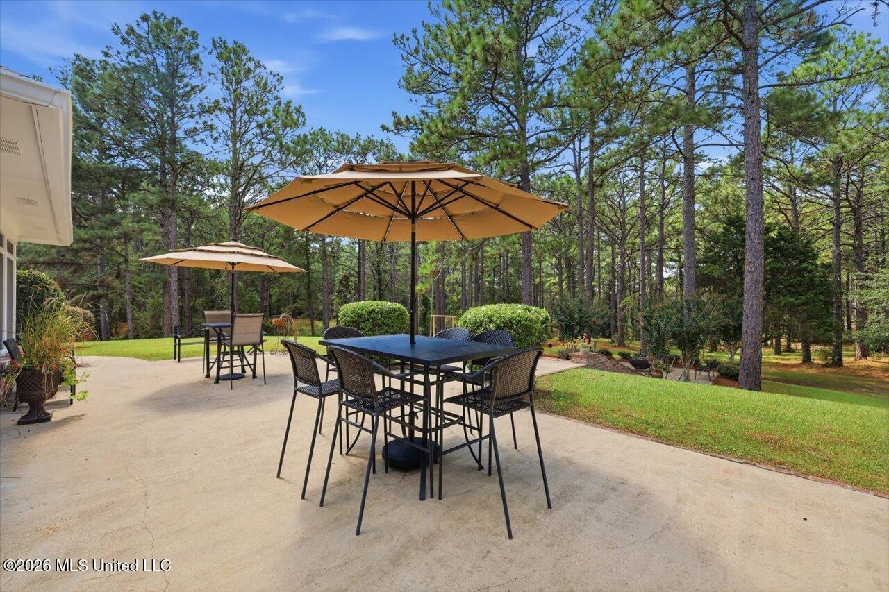 263 Pine Lane Property Photo 56