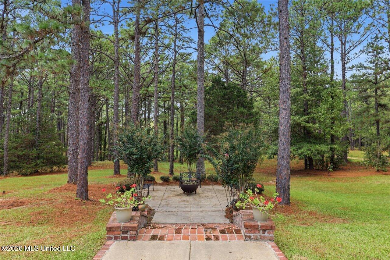 263 Pine Lane Property Photo 61