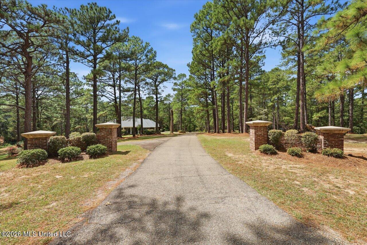 263 Pine Lane Property Photo 63