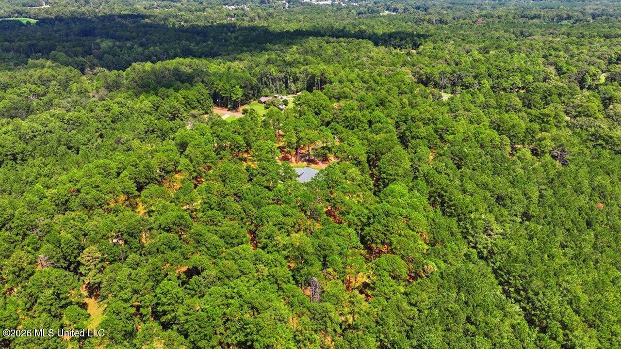 263 Pine Lane Property Photo 70