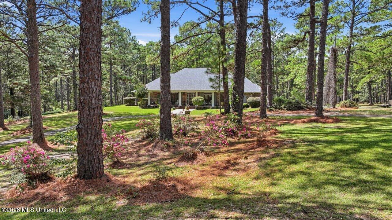 263 Pine Lane Property Photo 87