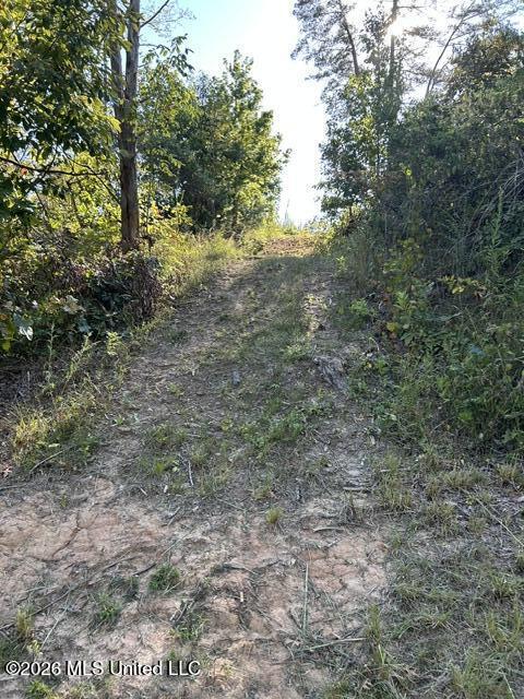 398 Poplar Lane Property Photo 41