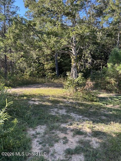 398 Poplar Lane Property Photo 42