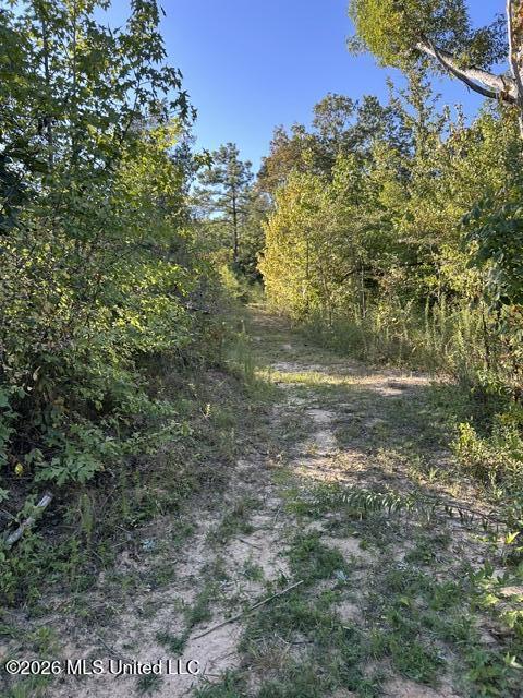 398 Poplar Lane Property Photo 44