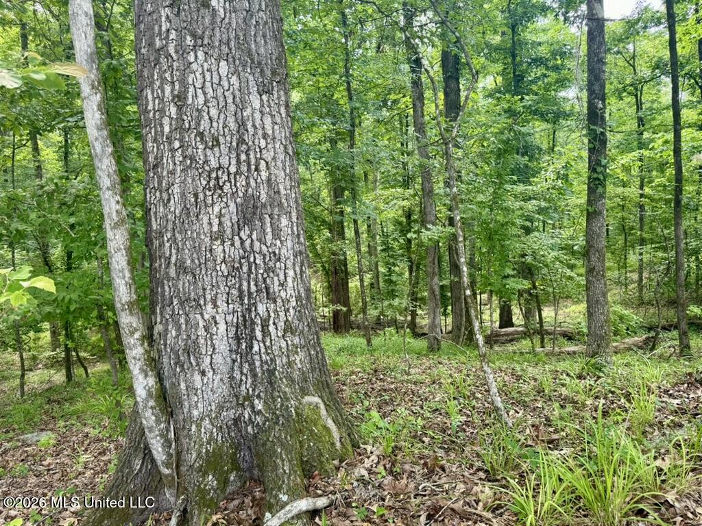 0001 Chapel Hill Road Property Photo 12