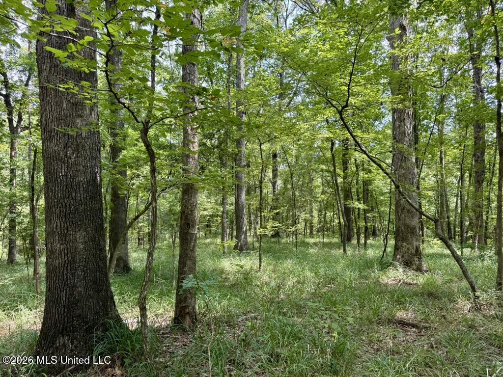 0001 Chapel Hill Road Property Photo 26