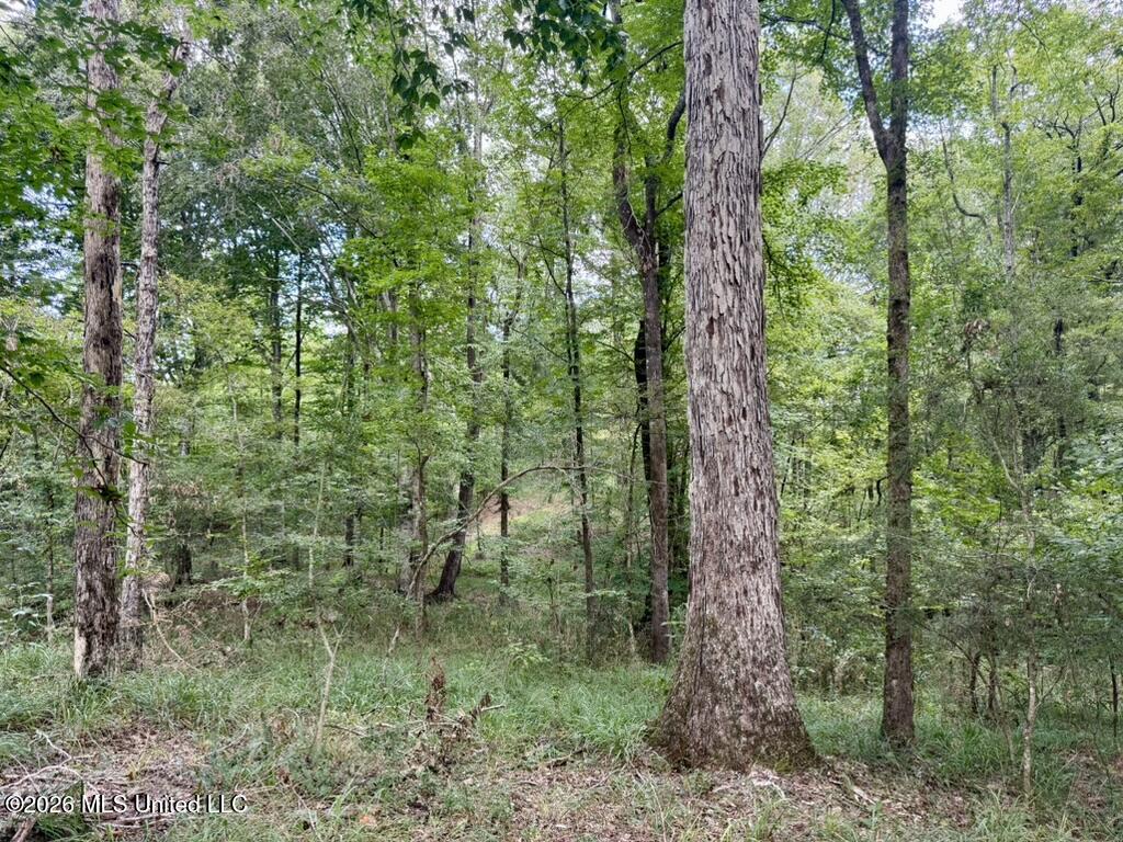 0001 Chapel Hill Road Property Photo 54
