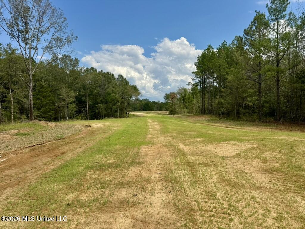 0001 Chapel Hill Road Property Photo 74
