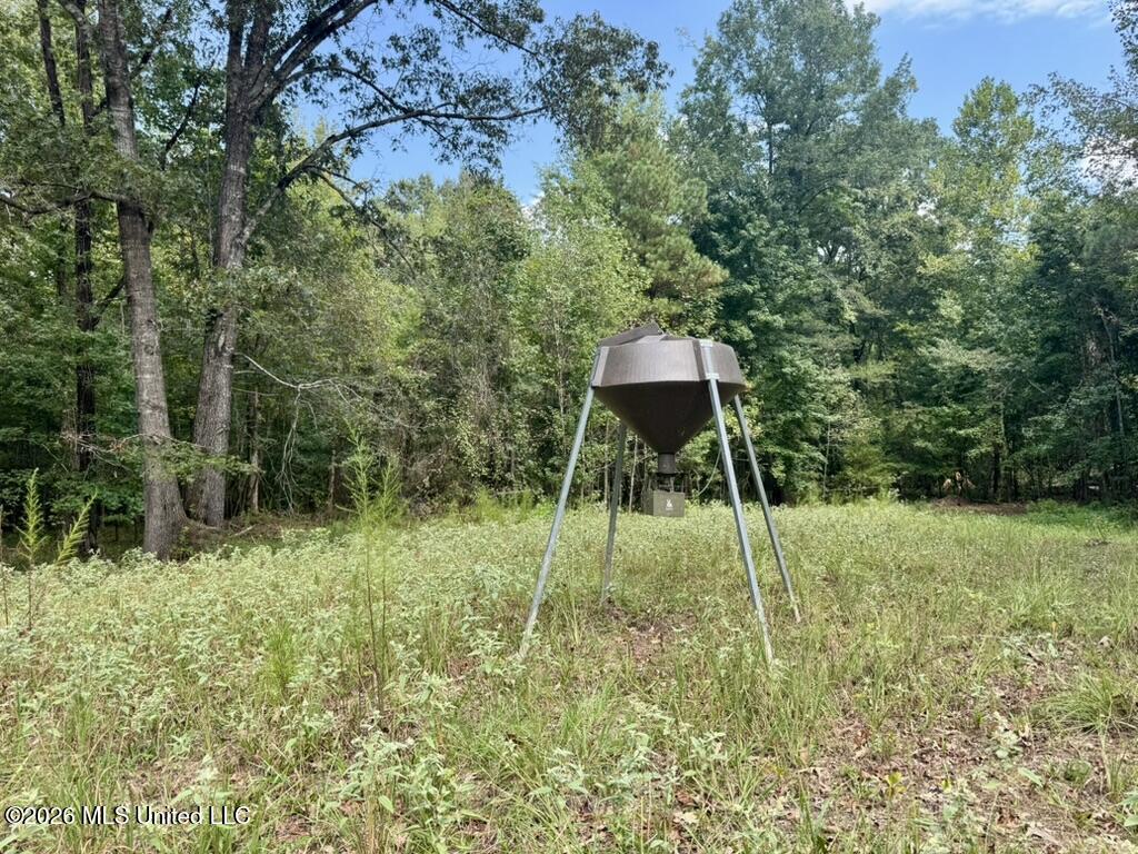 0001 Chapel Hill Road Property Photo 75