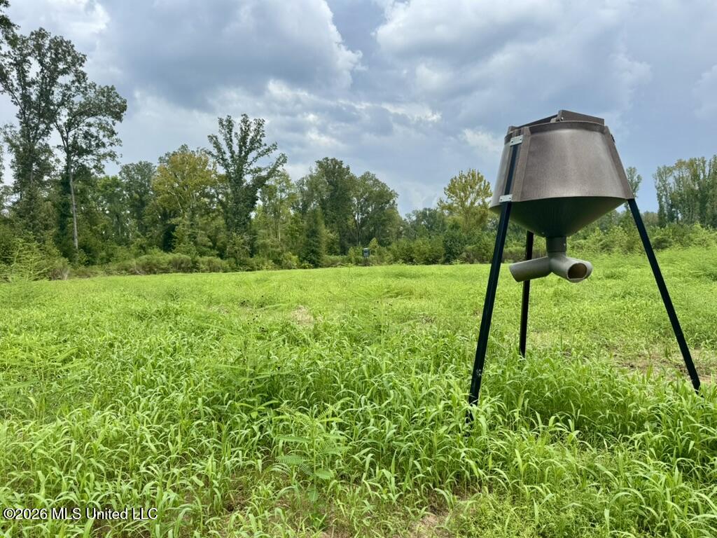 0001 Chapel Hill Road Property Photo 89